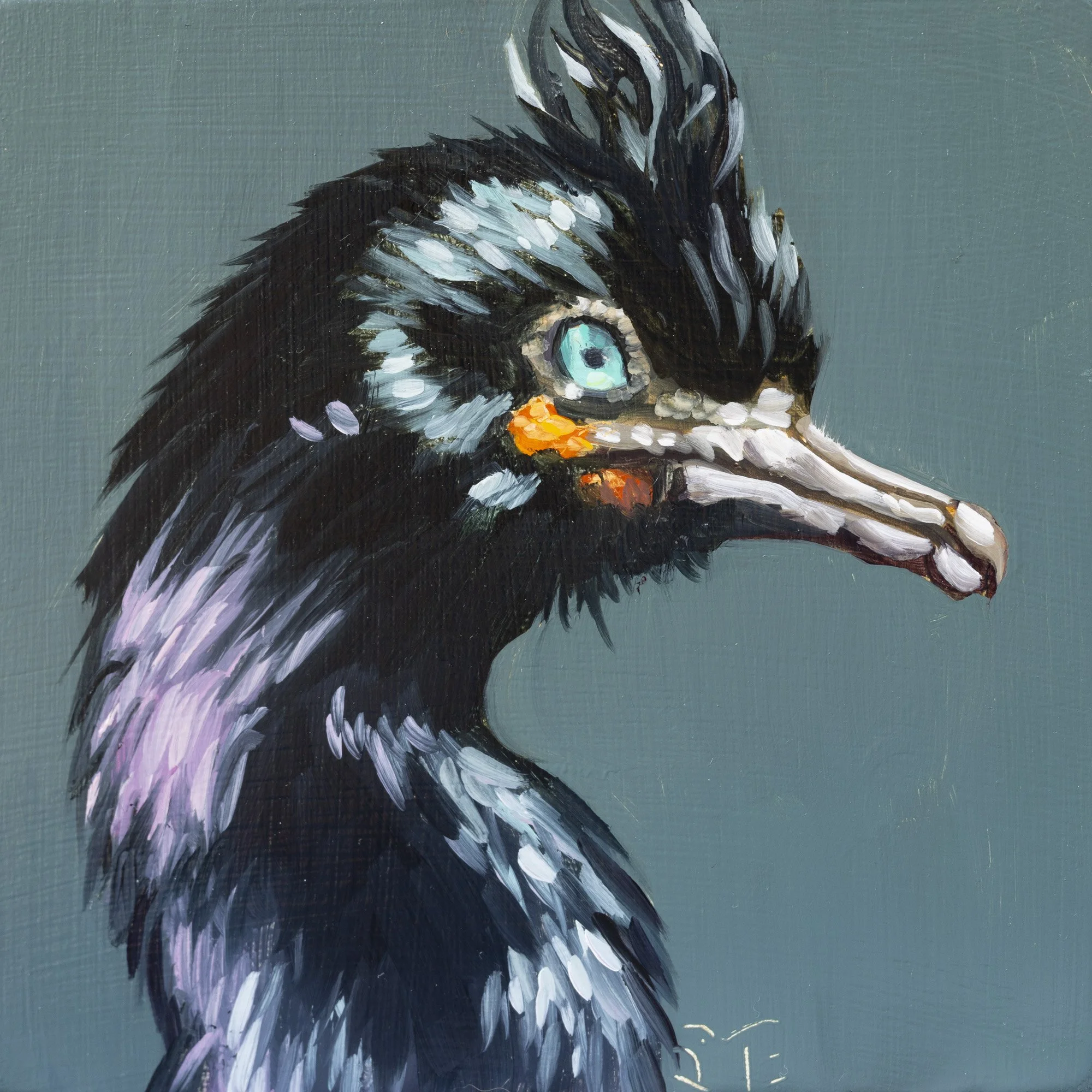 Double-crested Cormorant Portrait 4.jpg