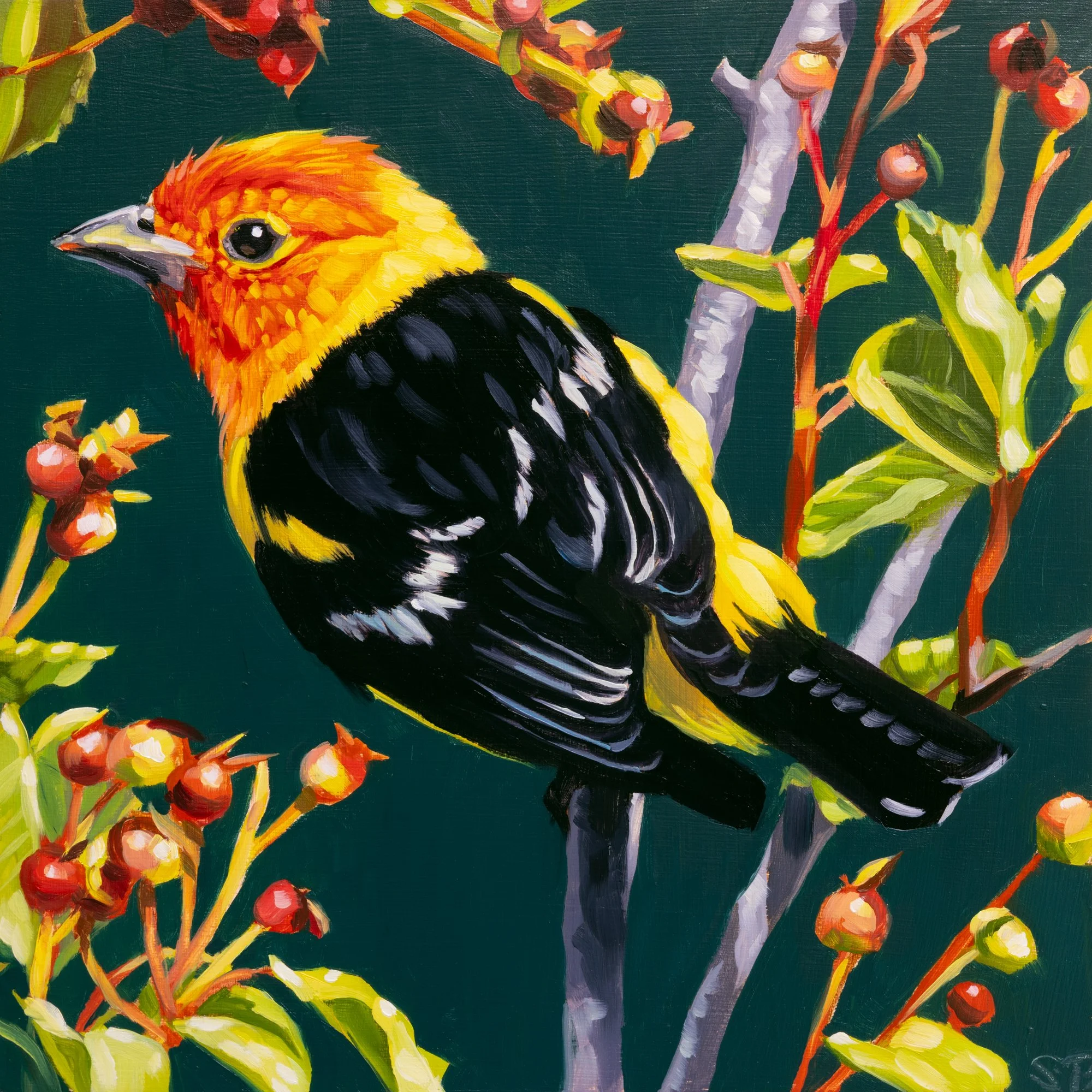 Tanager's Treat.jpg
