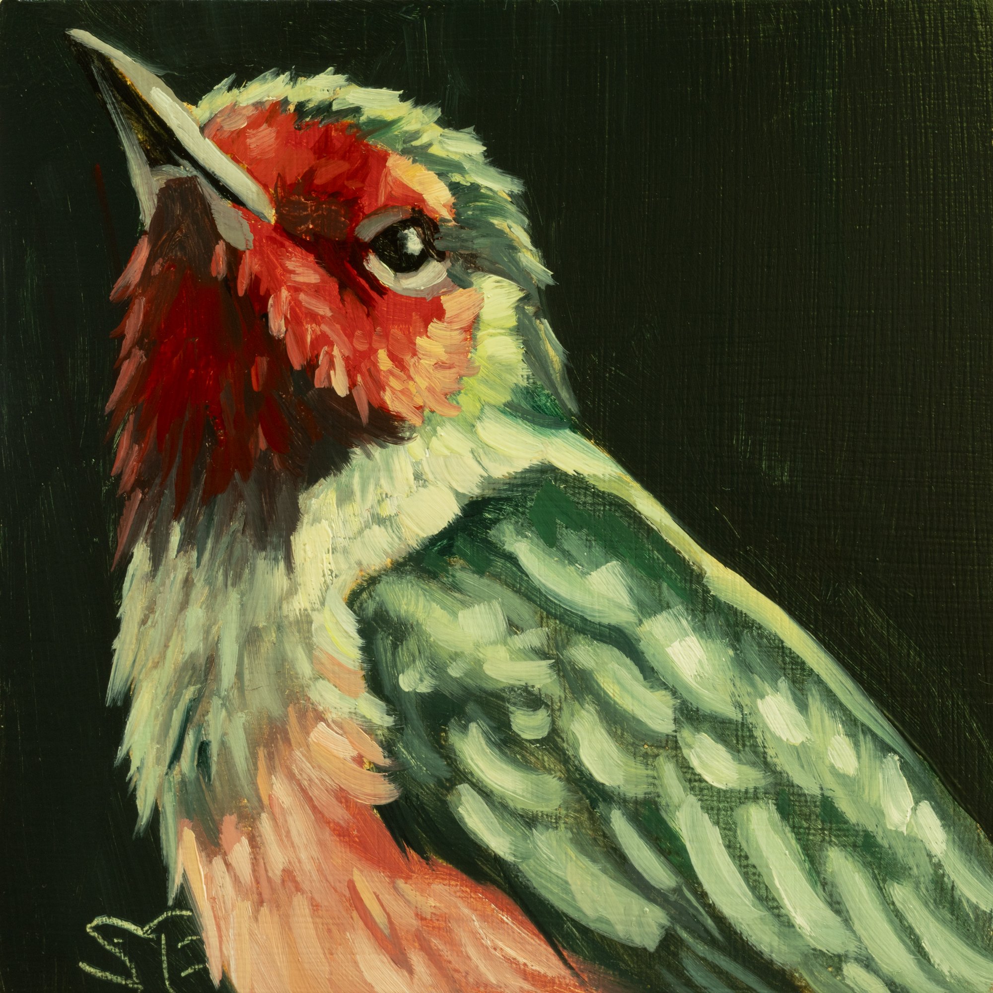 Lewis's Woodpecker Portrait 2.jpg