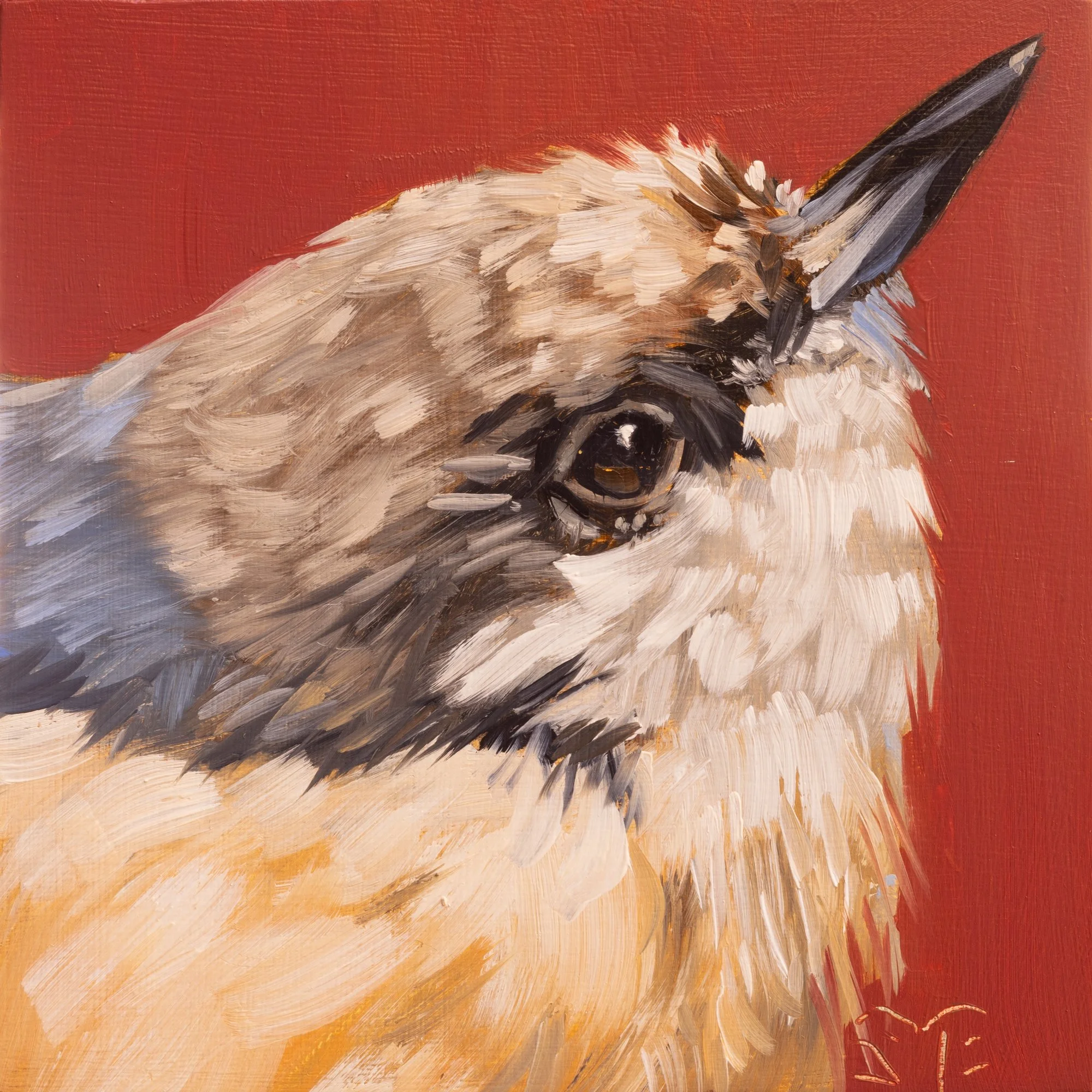 Pygmy Nuthatch Portrait 7.jpg