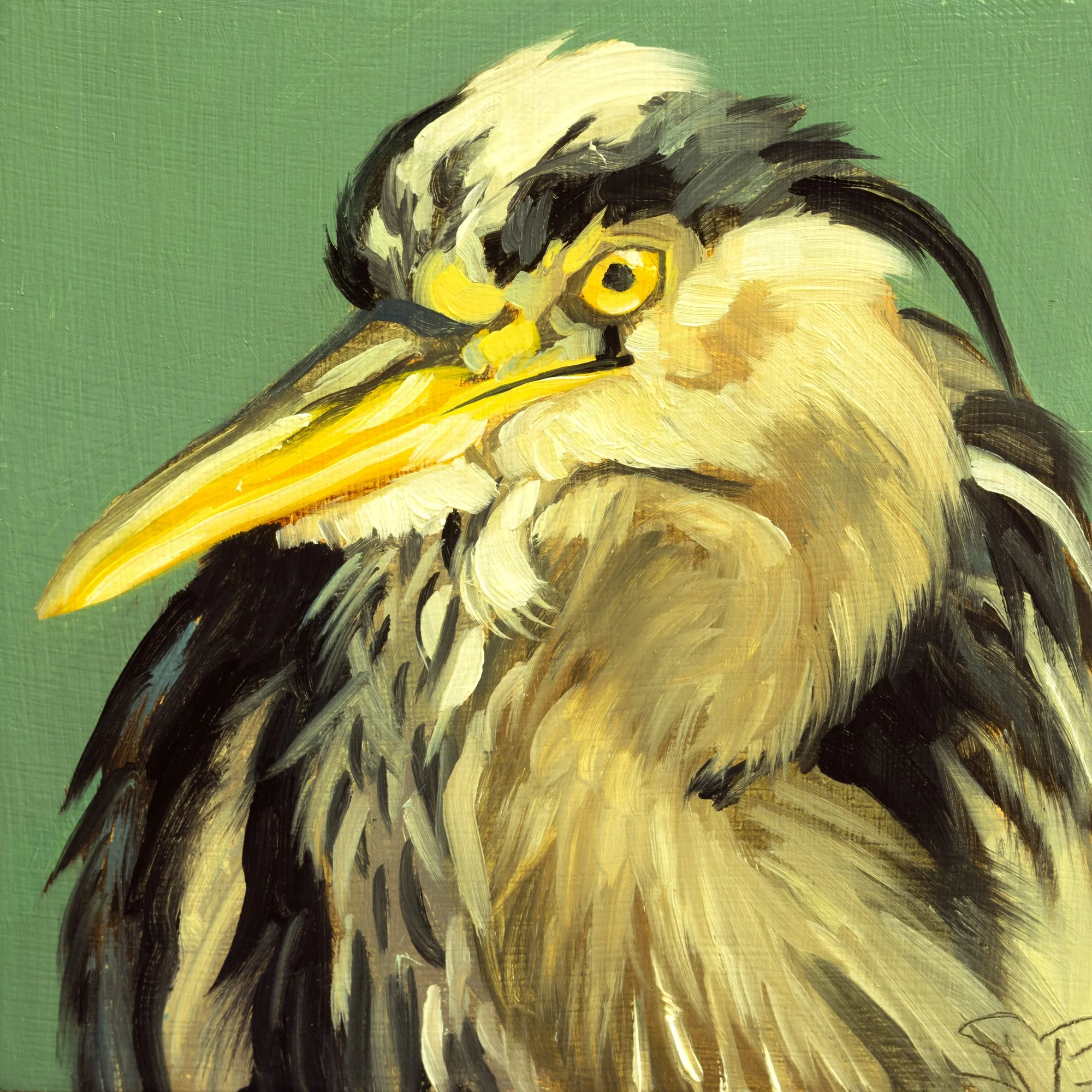 Great Blue Heron Portrait 5.jpg