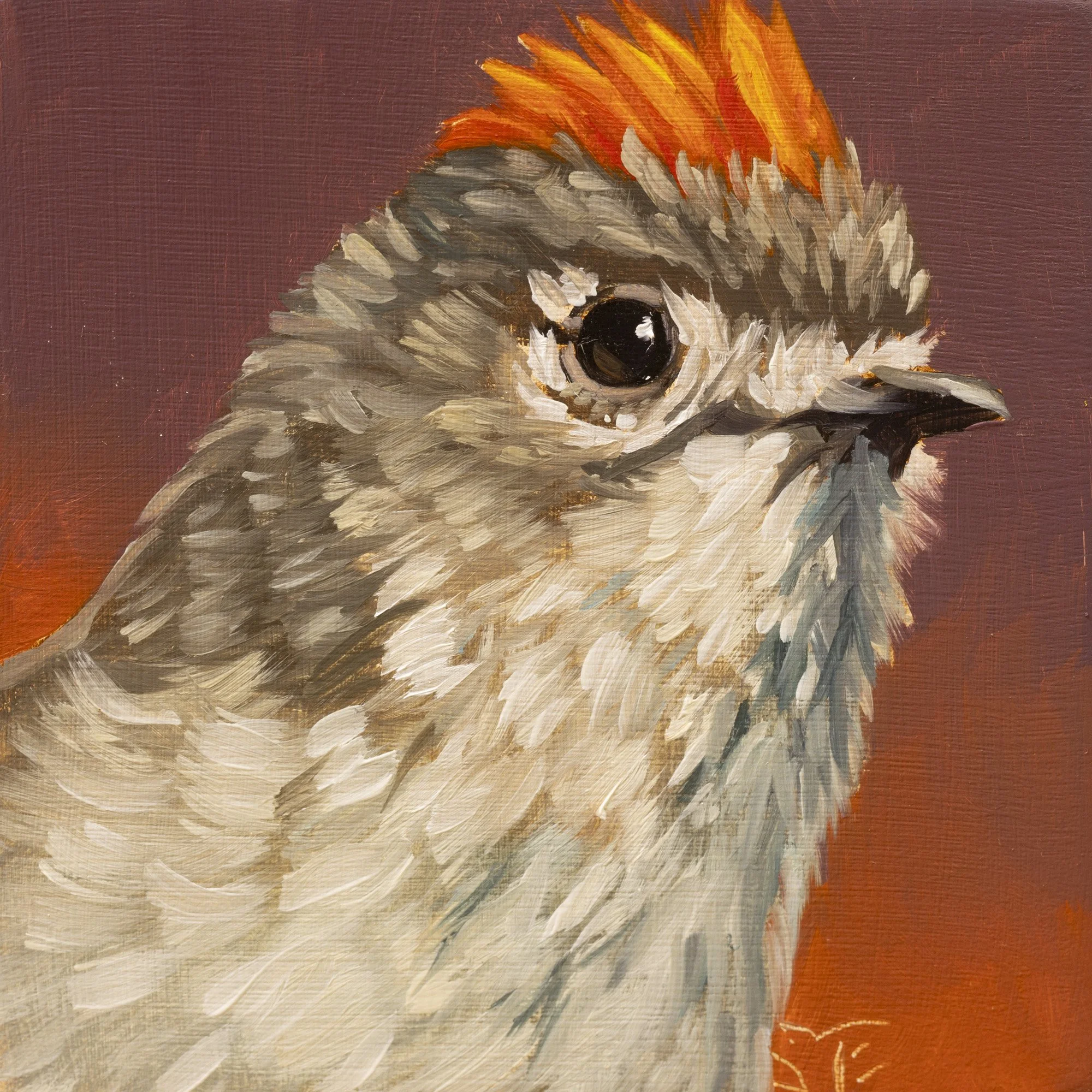Ruby-crowned Kinglet Portrait 6.jpg