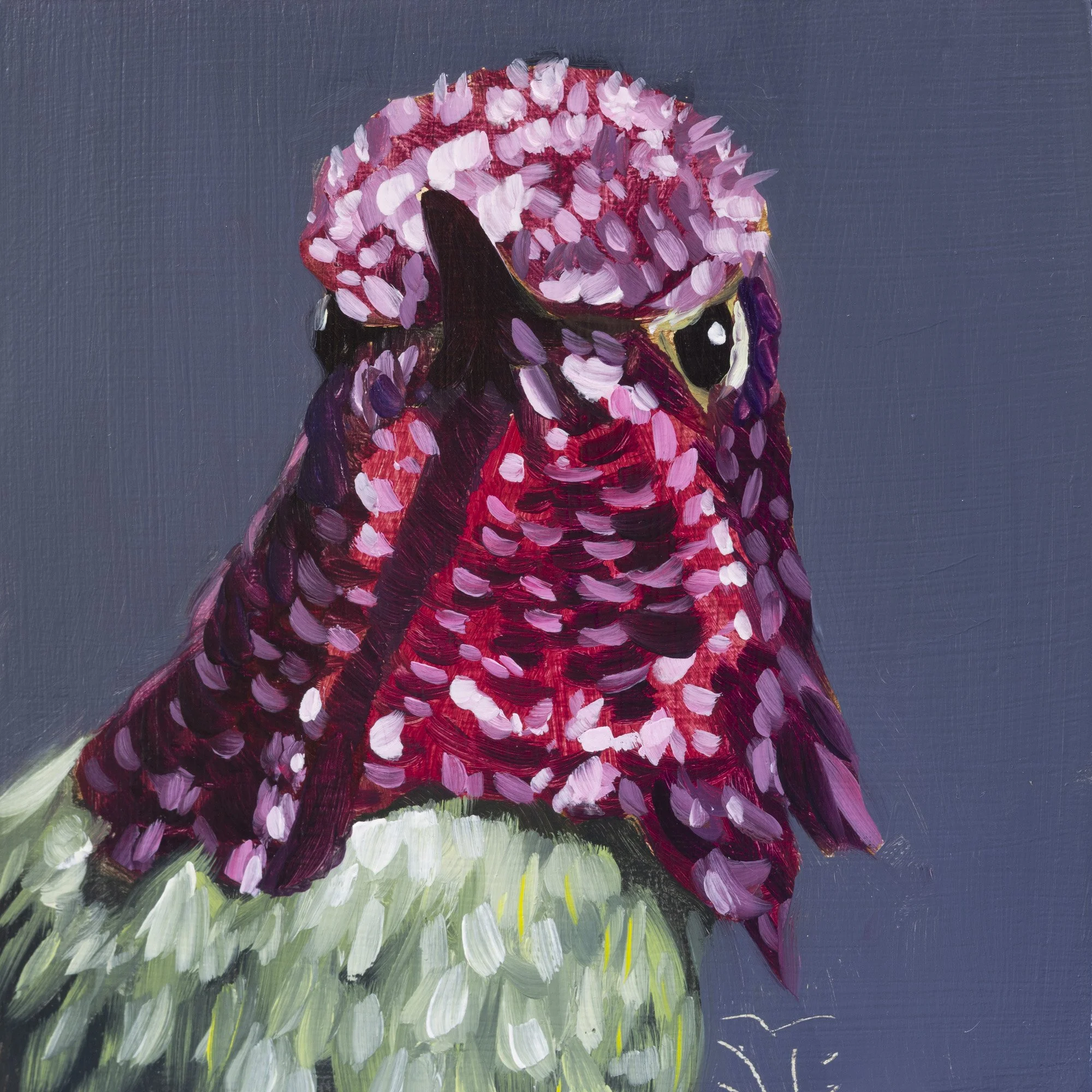 Anna's Hummingbird Portrait 9.jpg