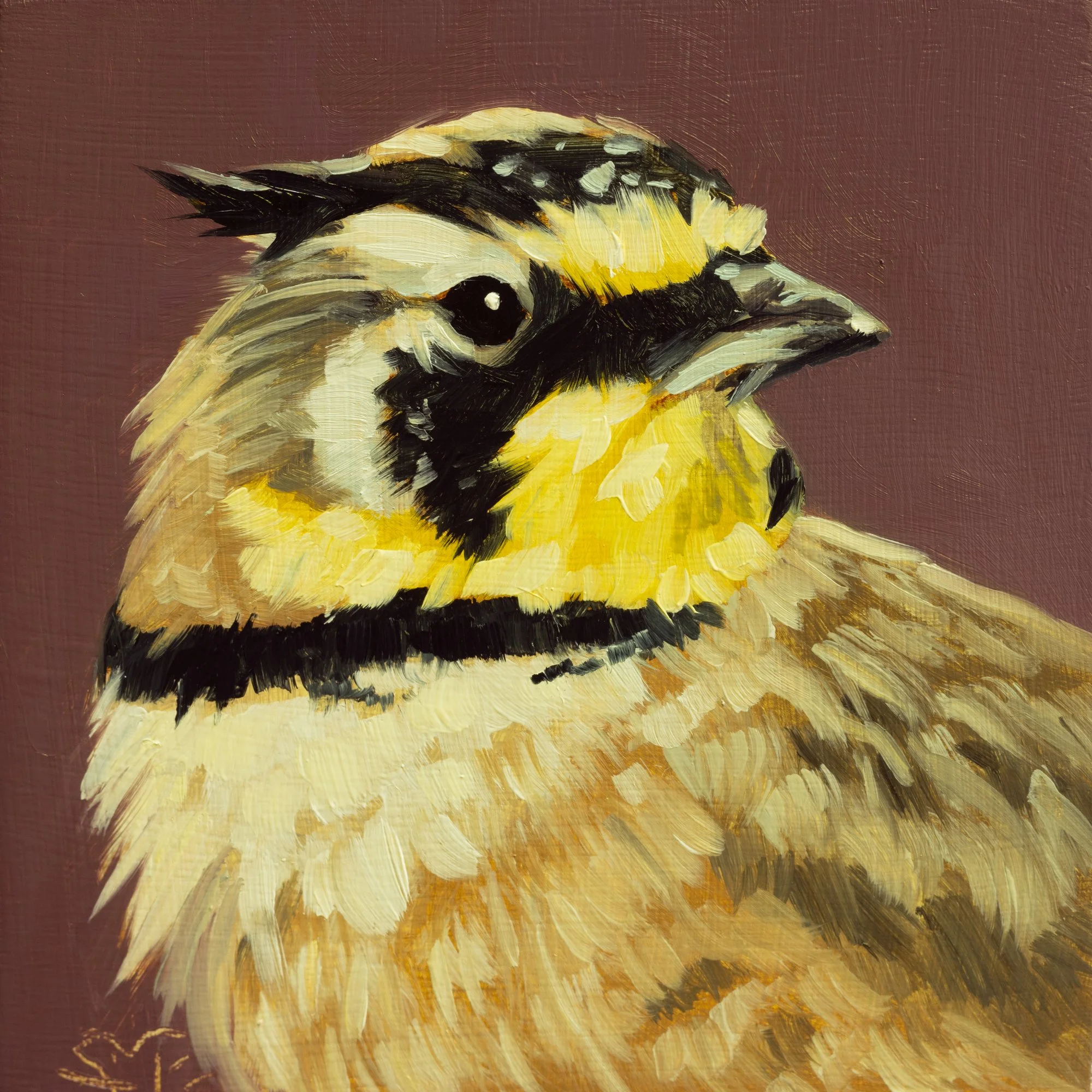 Horned Lark Portrait 1.jpg