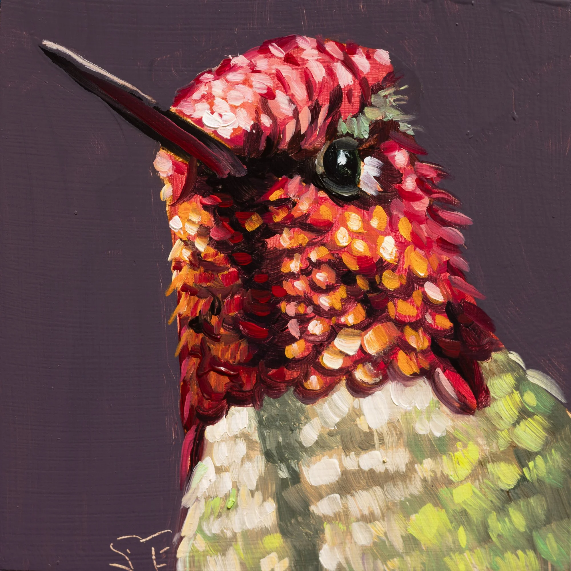 Anna's Hummingbird Portrait 8.jpg