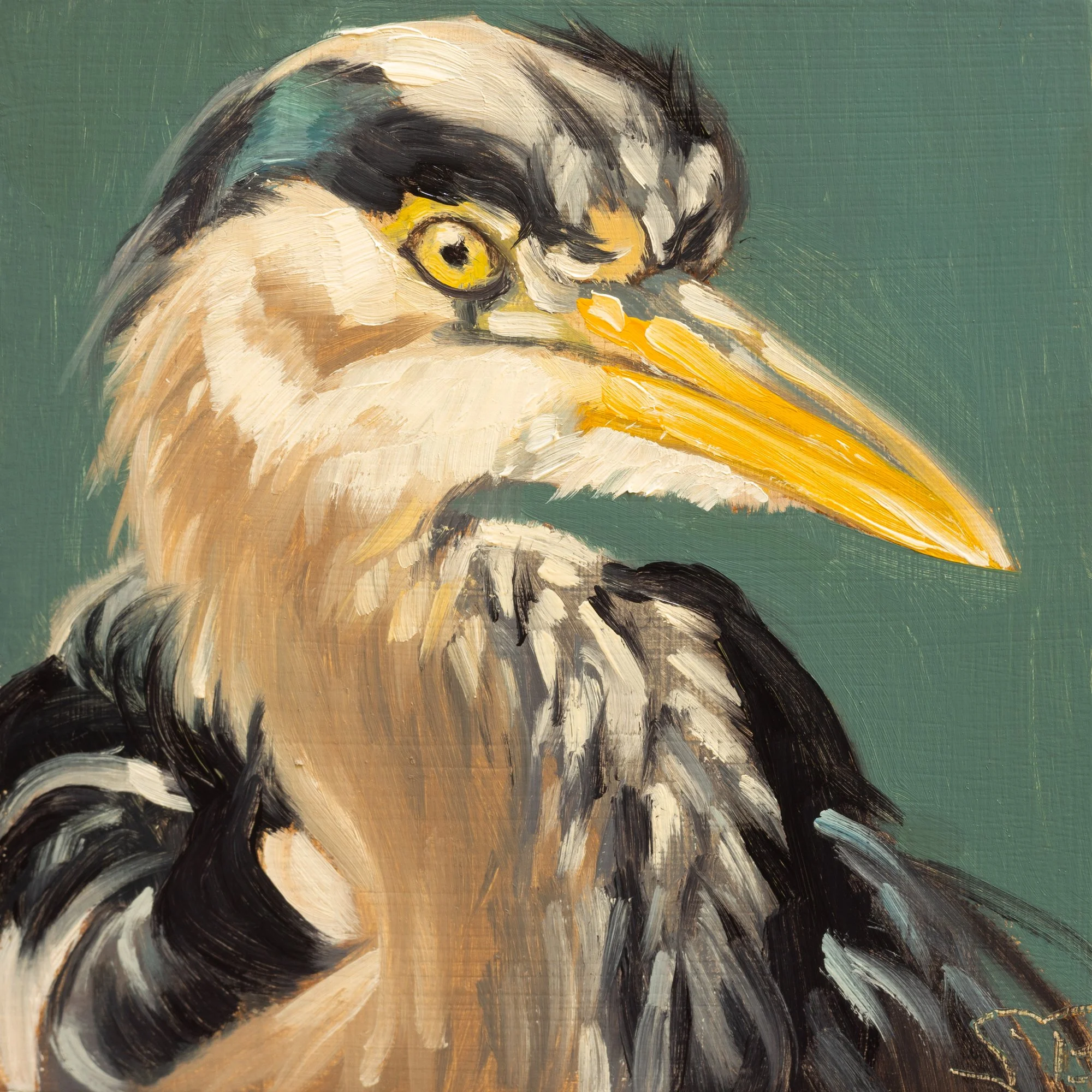 Great Blue Heron Portrait 2.jpg