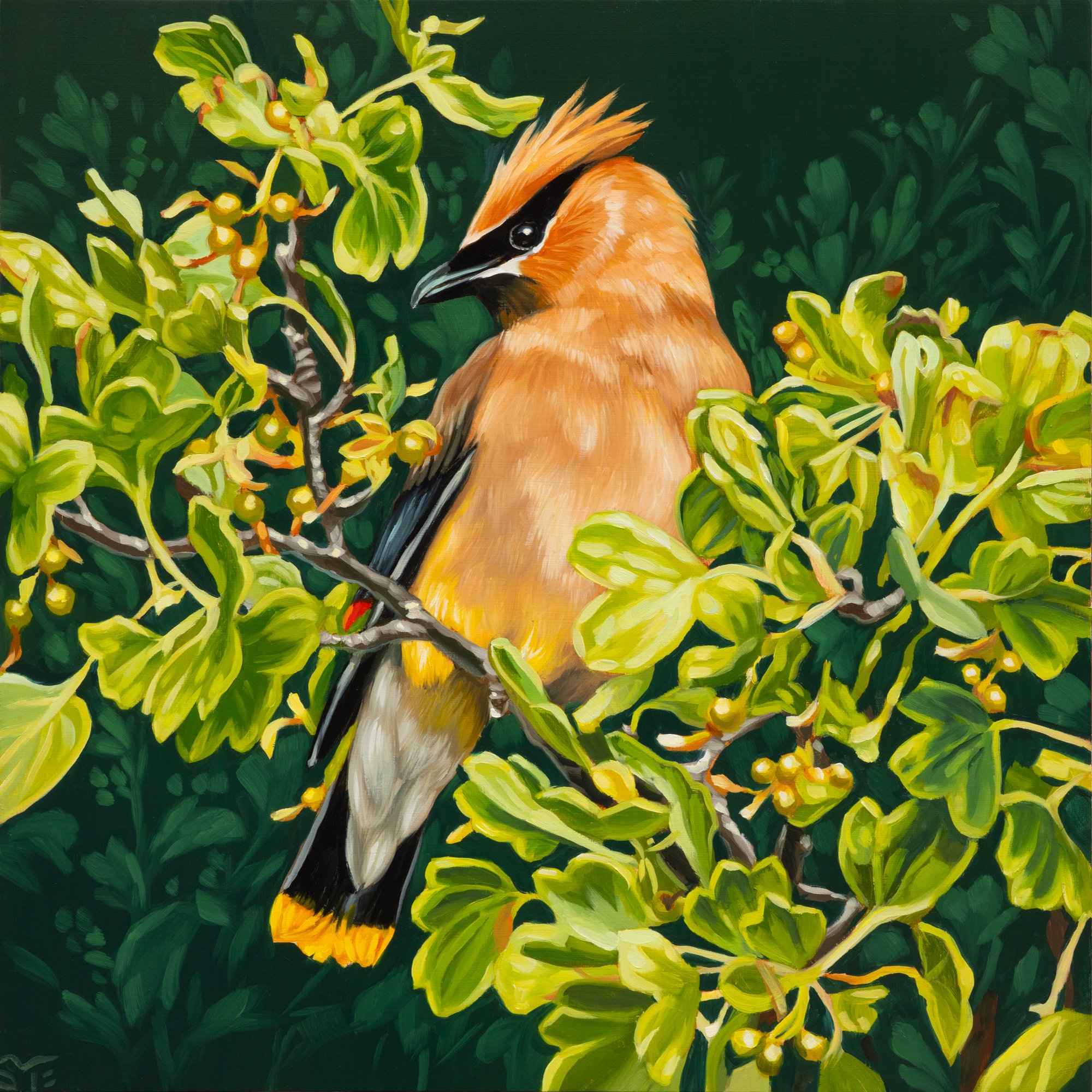 Cedar and Currant 2.jpg