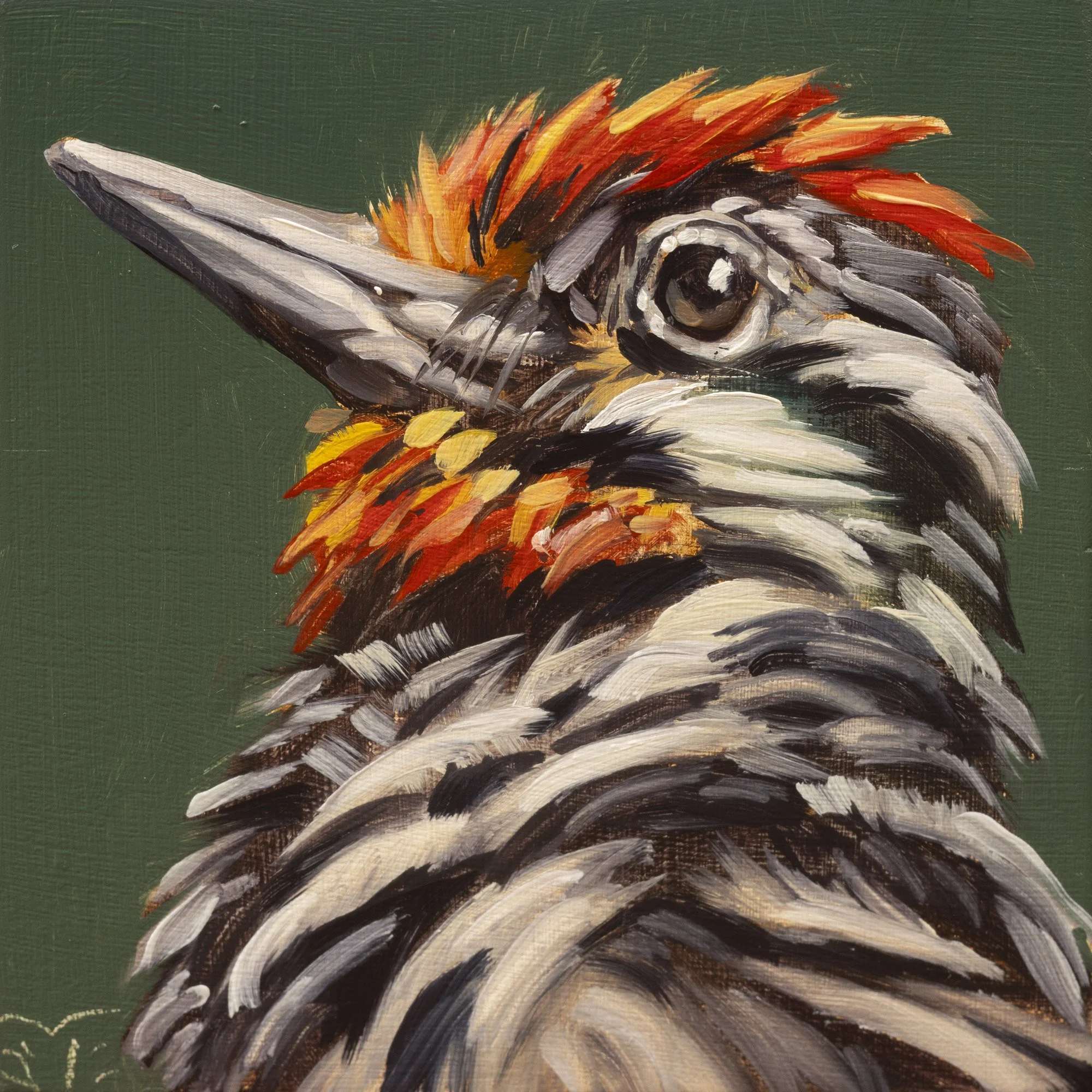 Red-naped Sapsucker Portrait 1.jpg