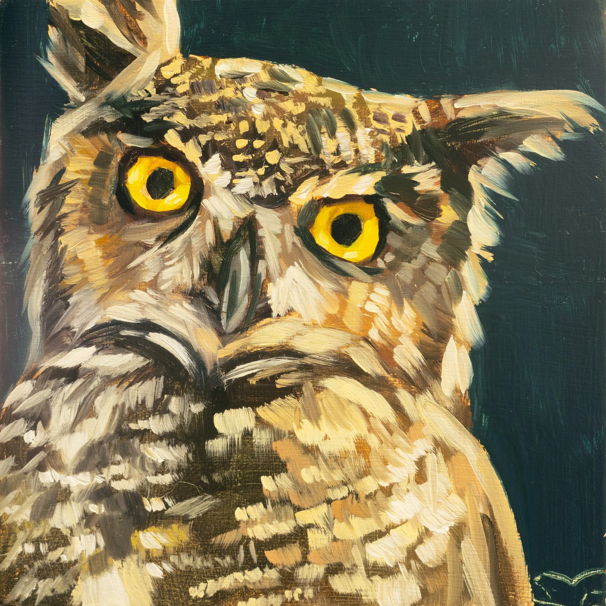 Great Horned Owl Portrait 13.jpg