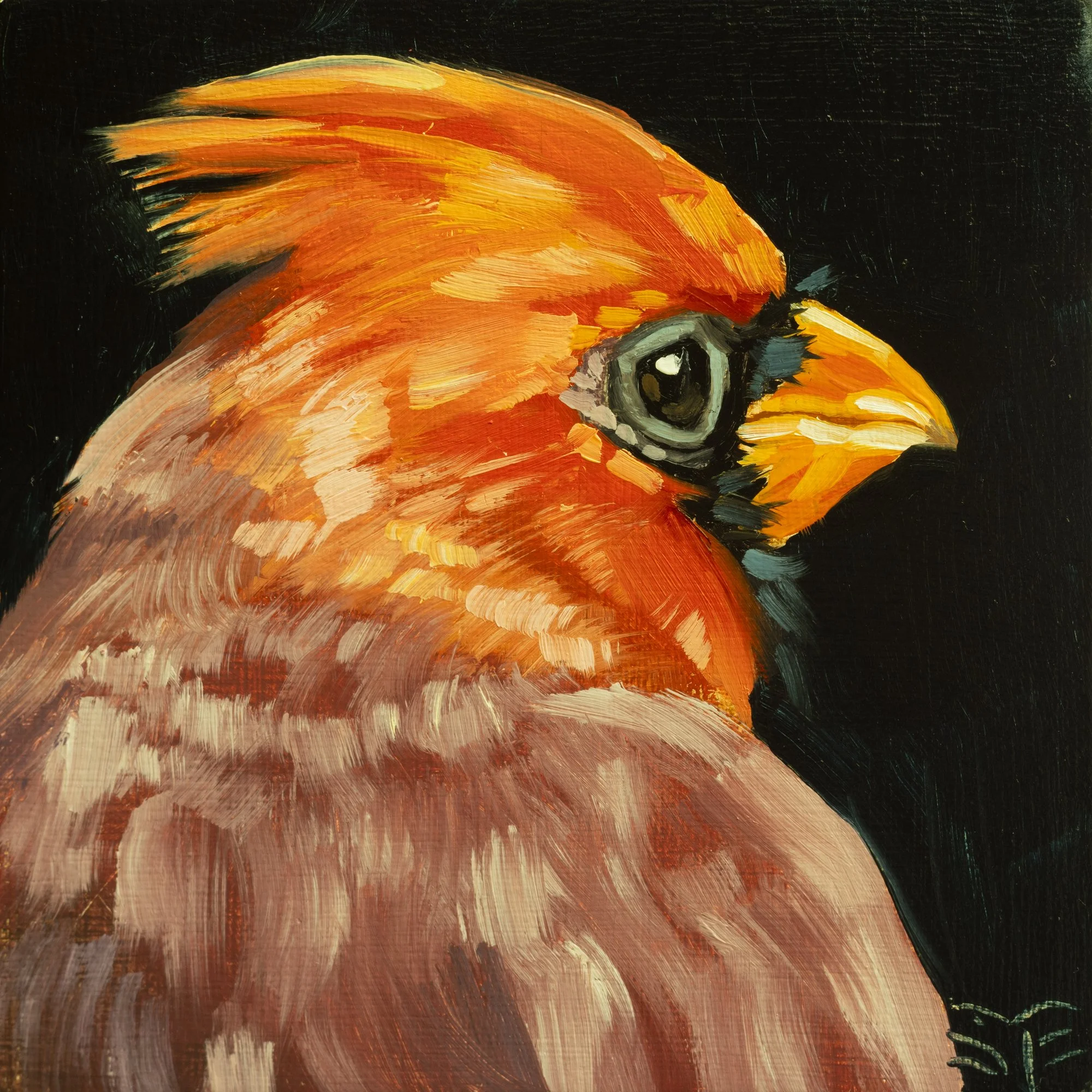 Northern Cardinal Portrait 9.jpg