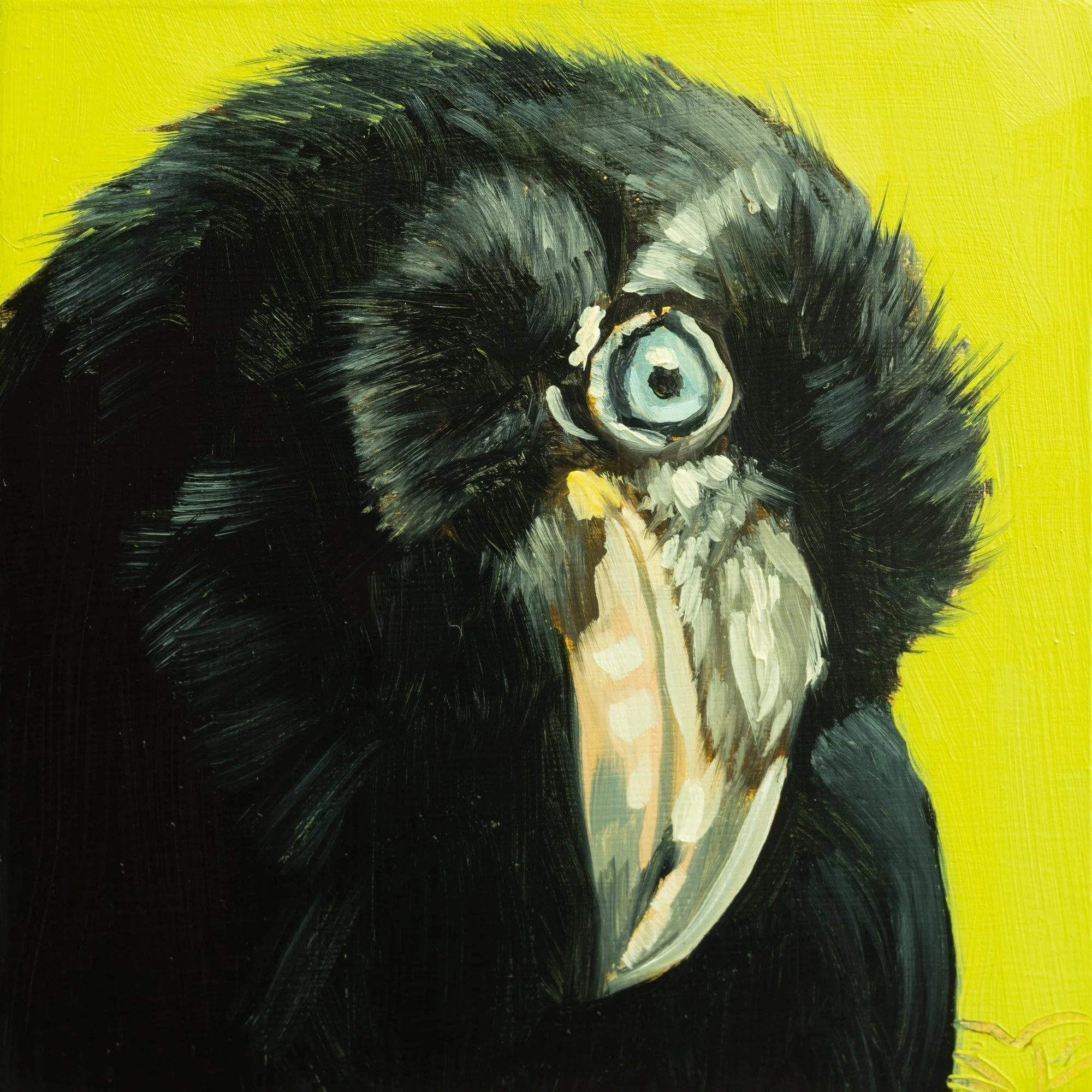 Common Raven Portrait 15.jpg