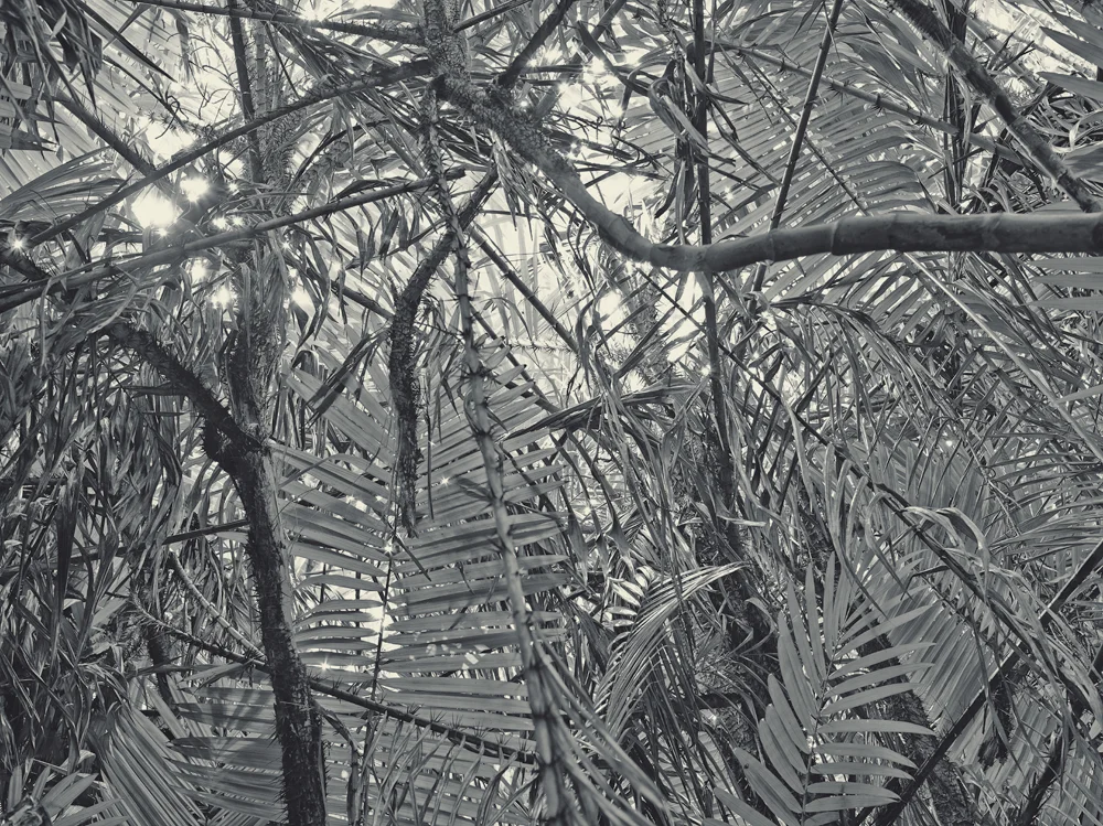 Untitled #4