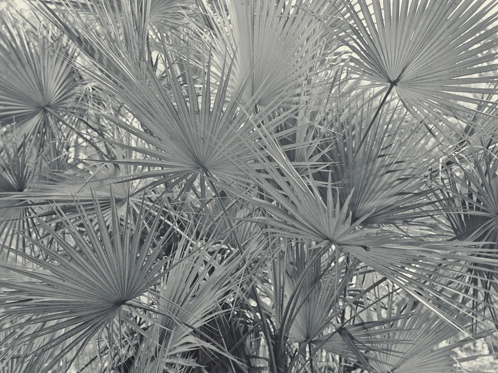 Untitled #3