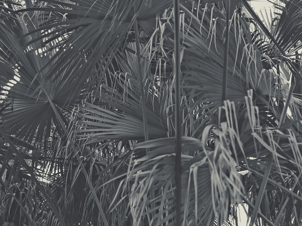 Untitled #7