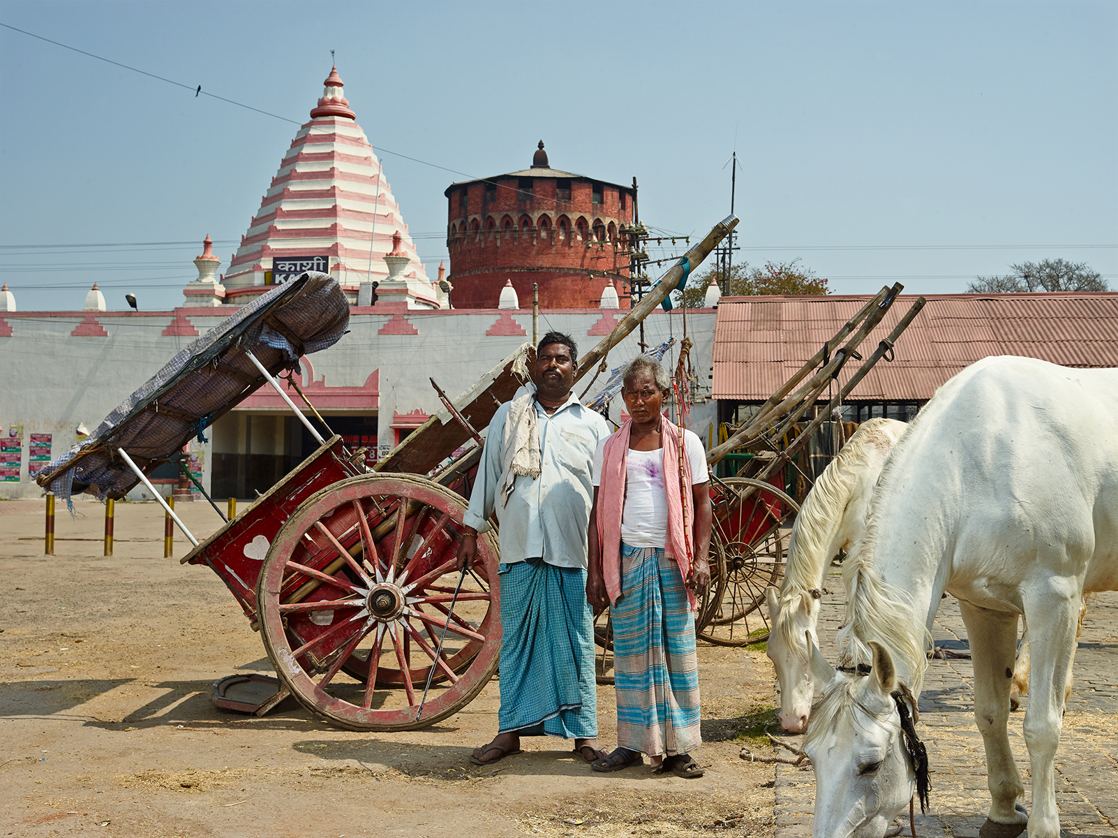 HORSE CART DRIVERS, $17.50 WEEKLY, 2014