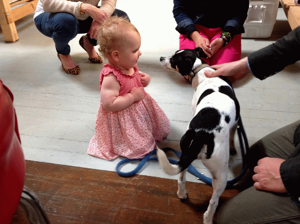 Art-baby and Art-dog hanging out on the gallery floor @ Open Studio 2014