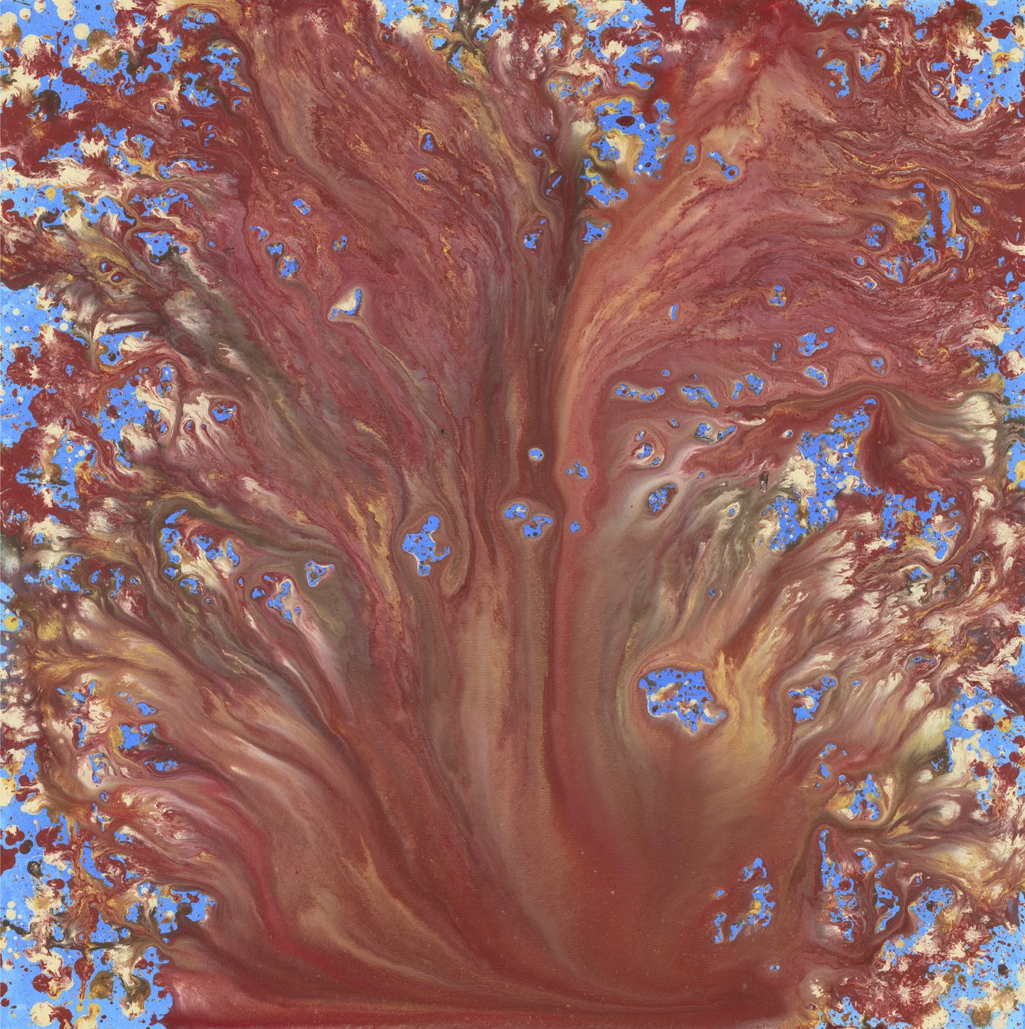 Dear Science: Artist Talk