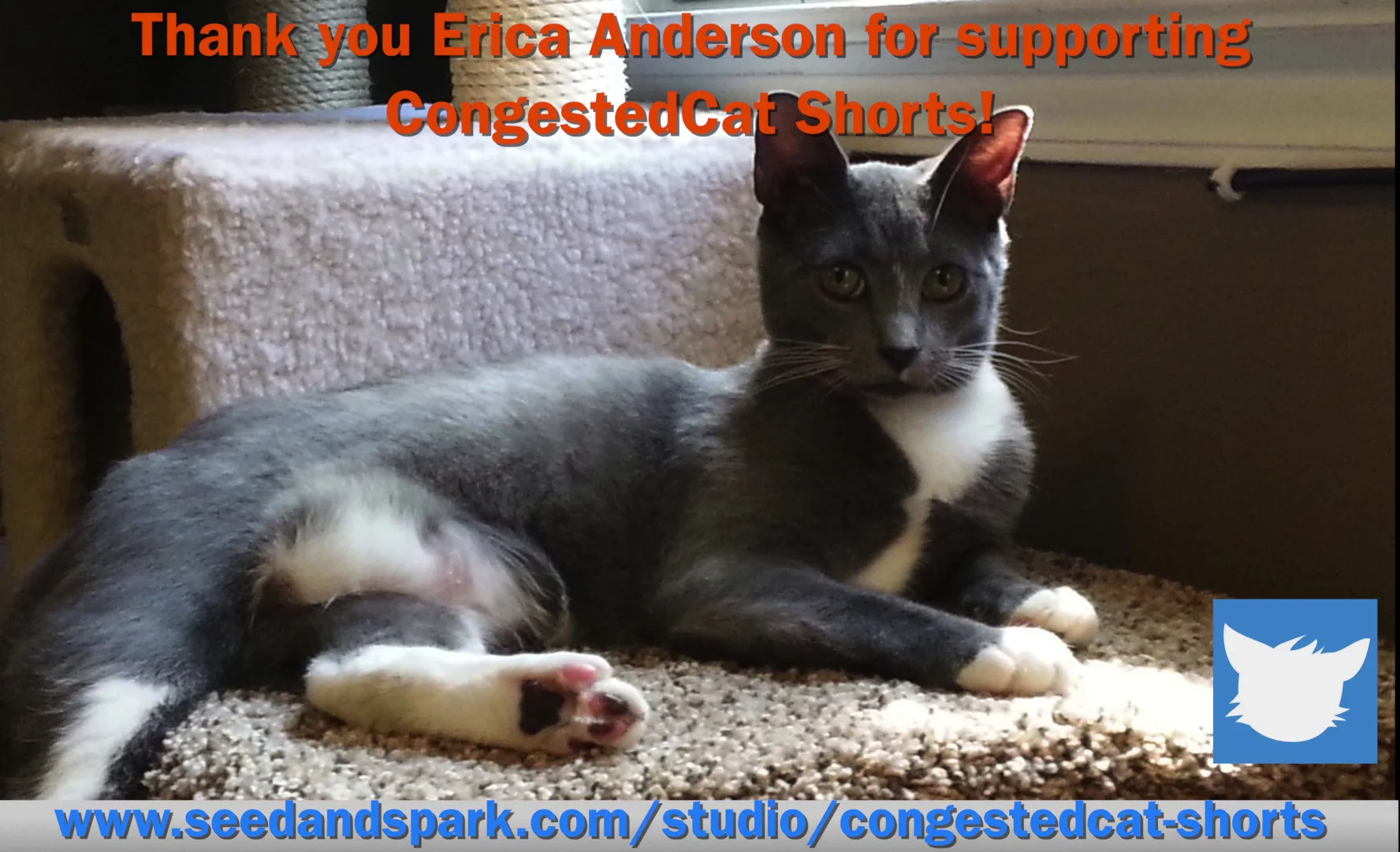 Erica.jpg