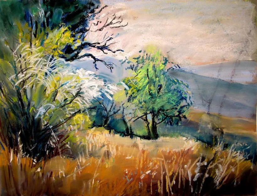 BARBARA MCMILLAN - LANDSCAPE - PAINTINGS -  10.jpg