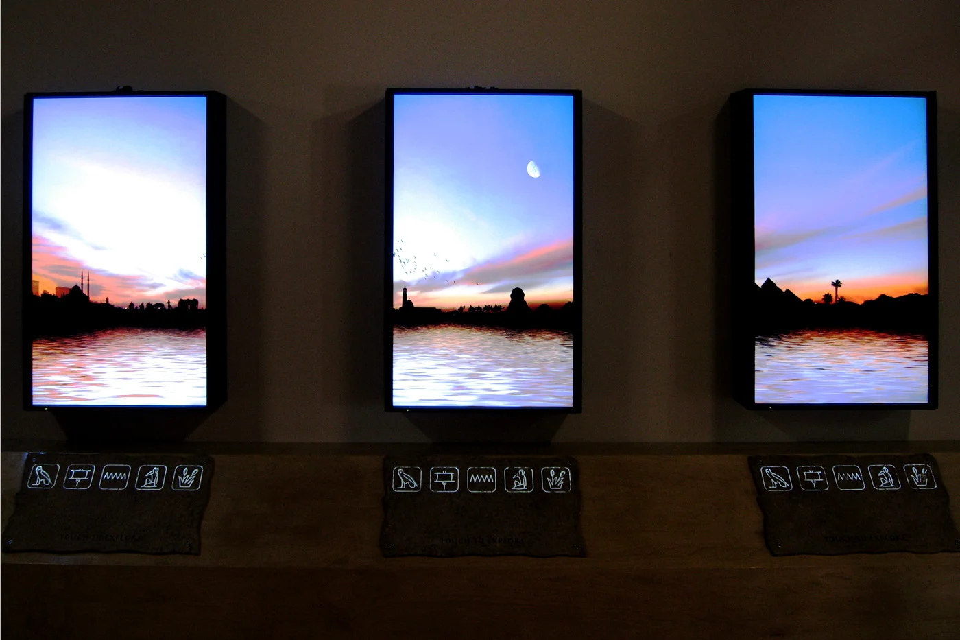installation view