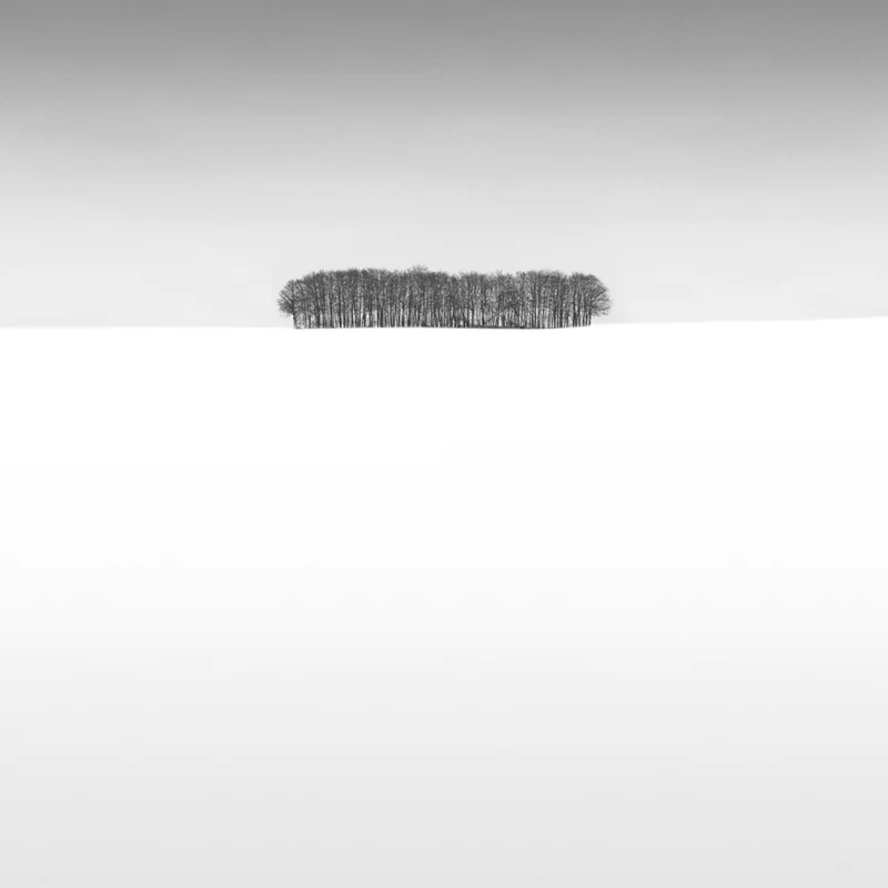 Copse.jpg