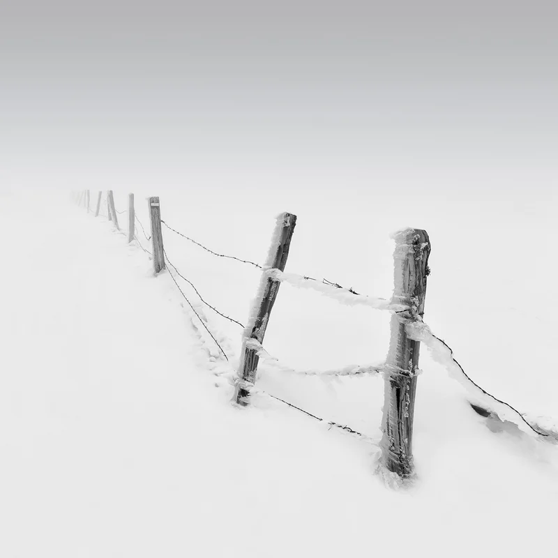 IceWire.jpg
