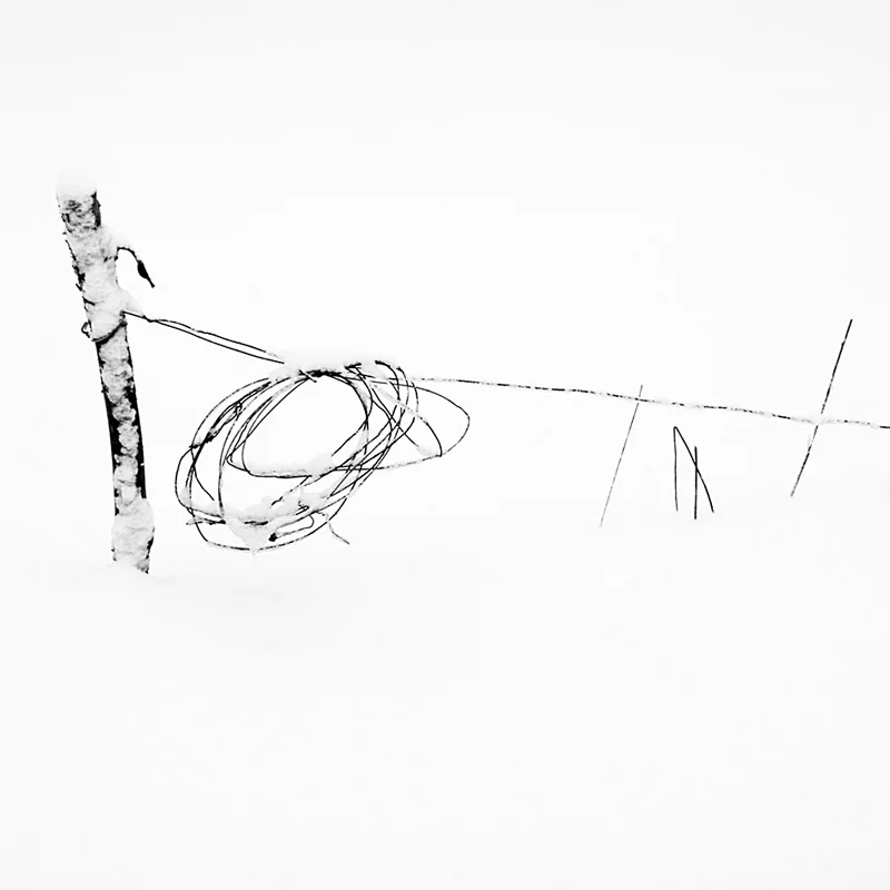 Round Wire.jpg