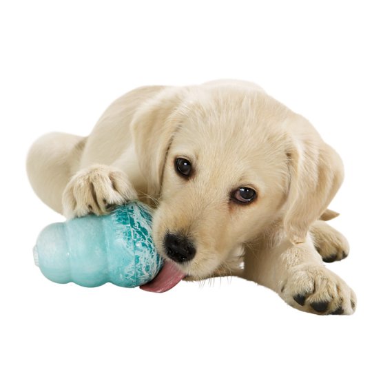 Source: petplanet.com