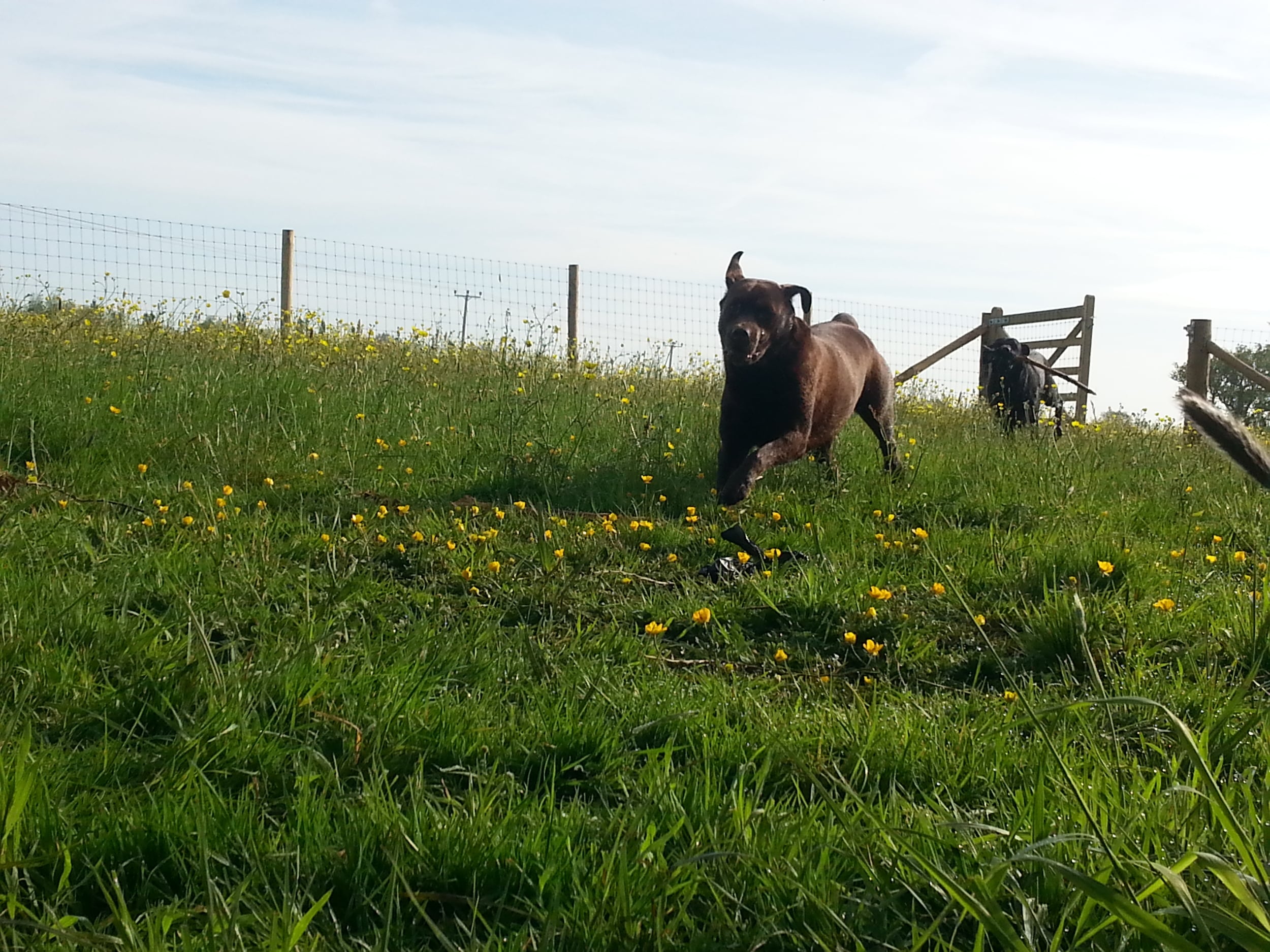 20150517_081118.jpg