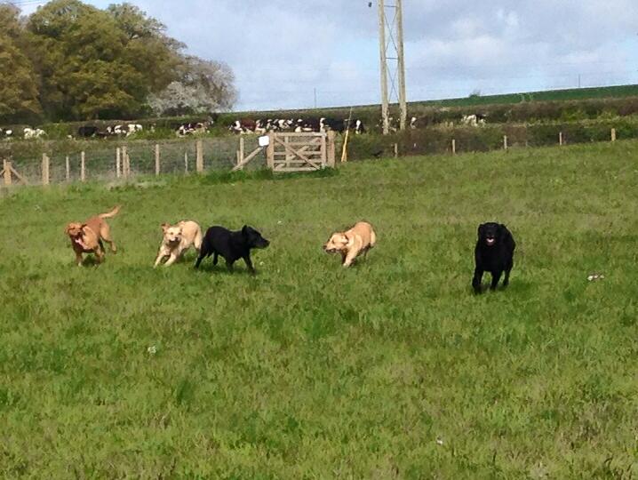 Starbuck and her family