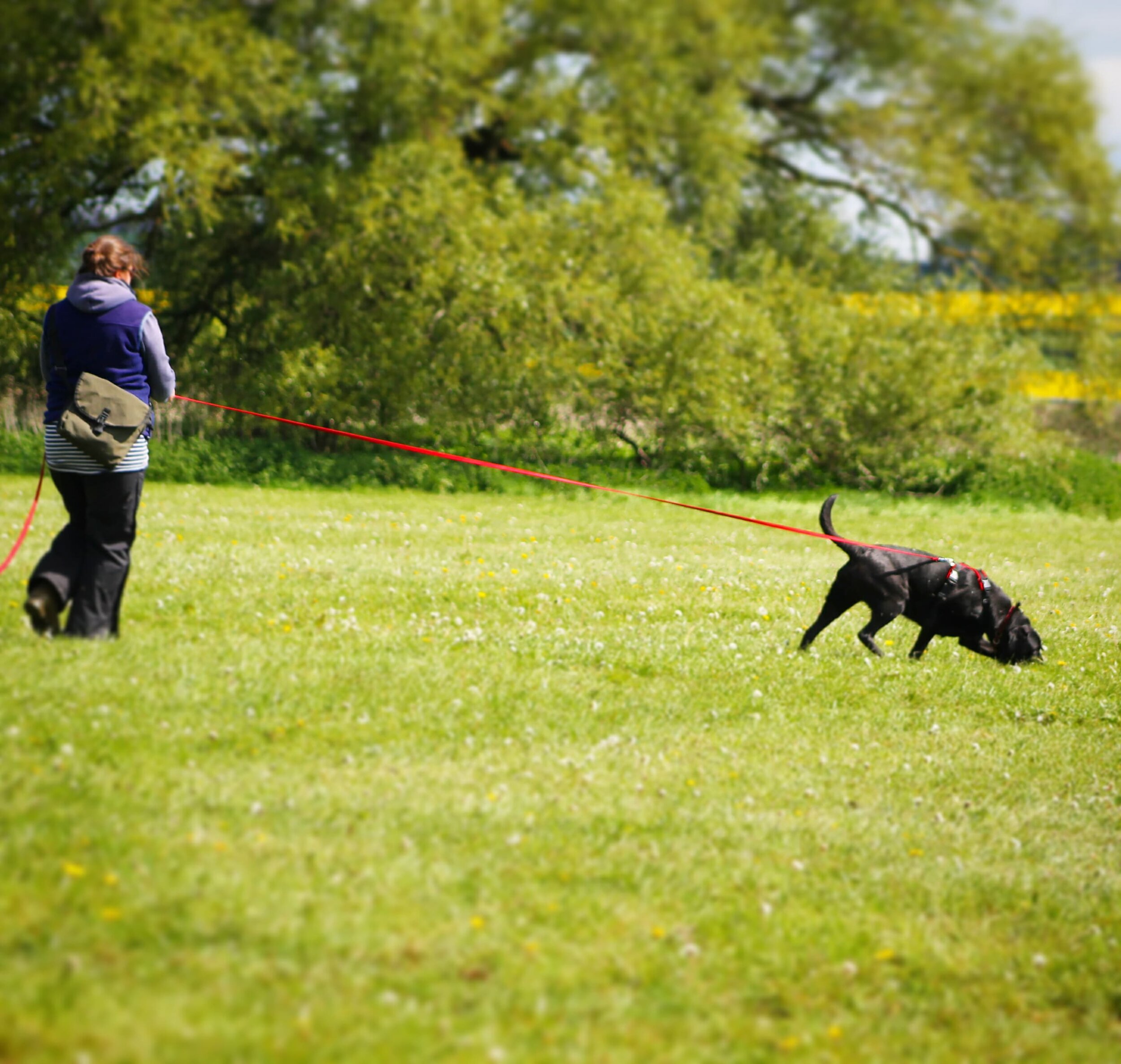 anna and widget tracking.jpg