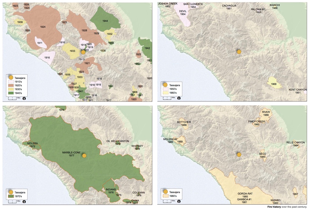 Ecological Analysis