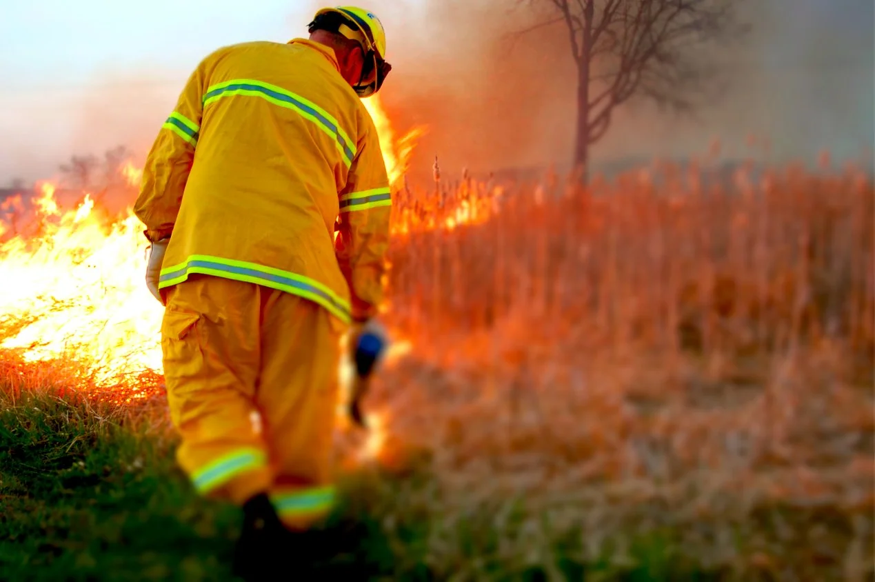 Fire Frank G. Caruso