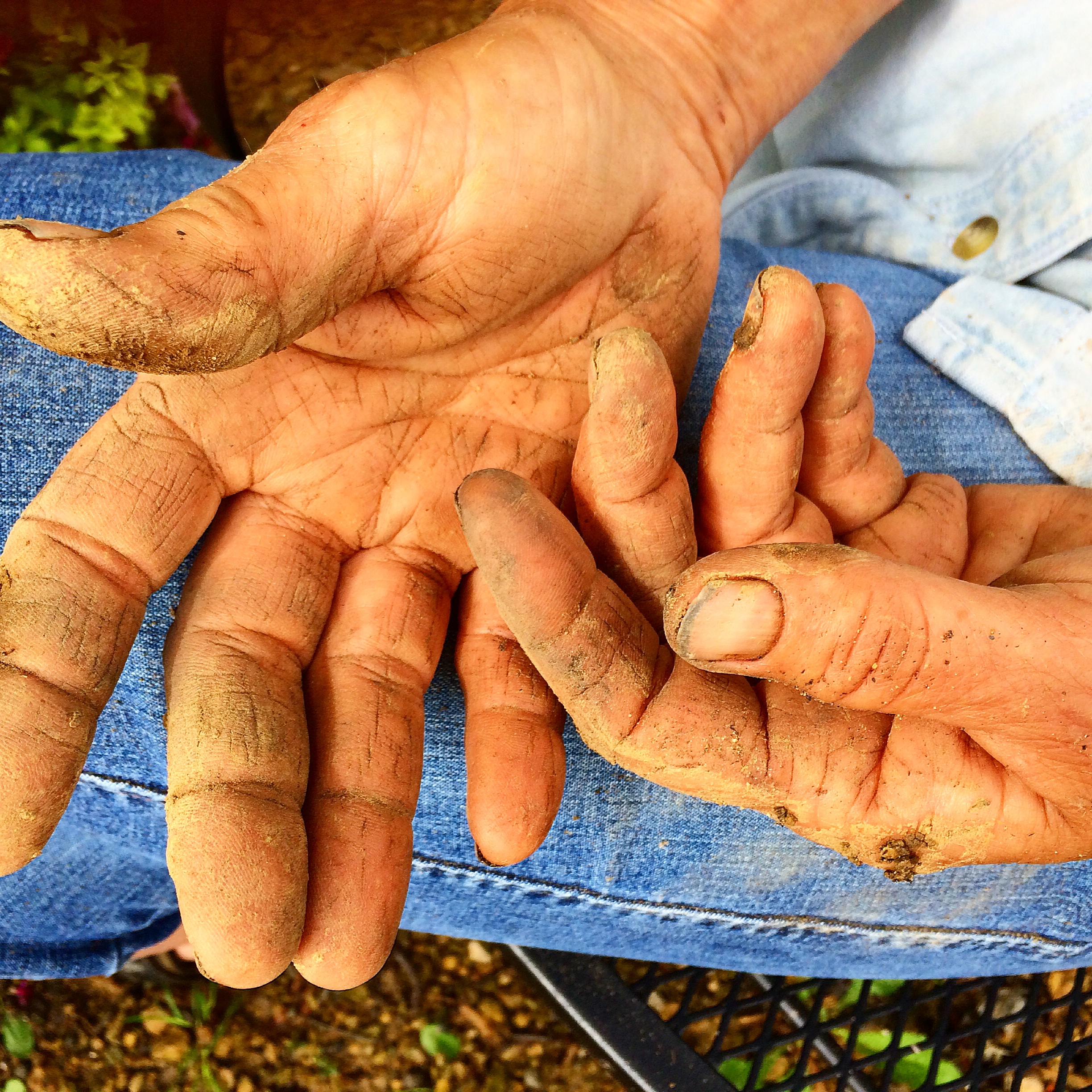 A Gardners Hands