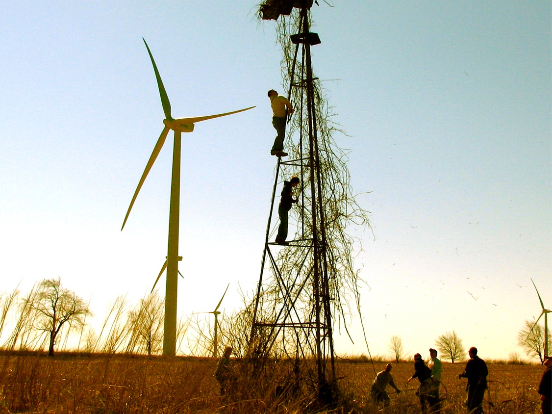 Windmill Wind Turbine