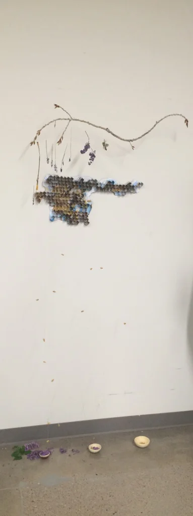 bees1.jpg