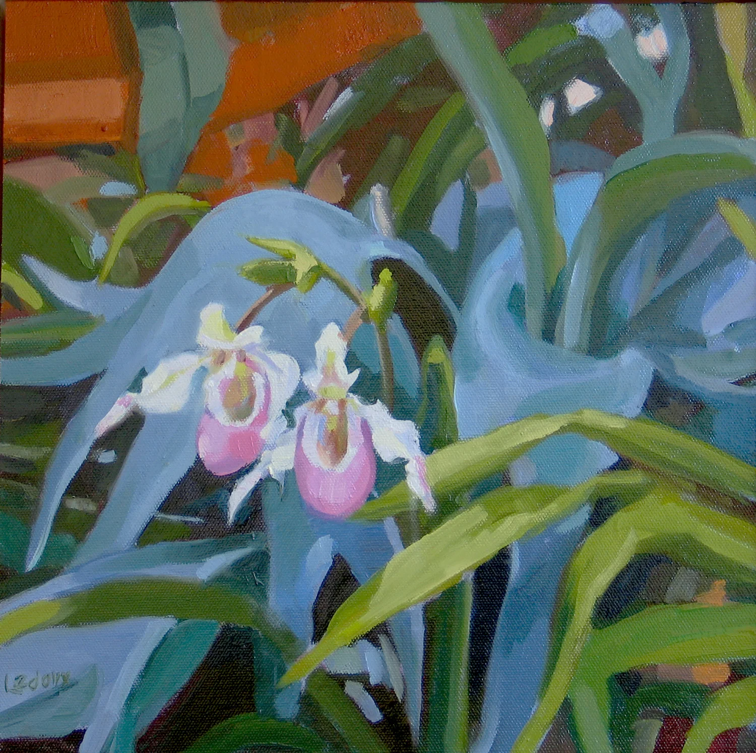 Lady's Slipper Duet