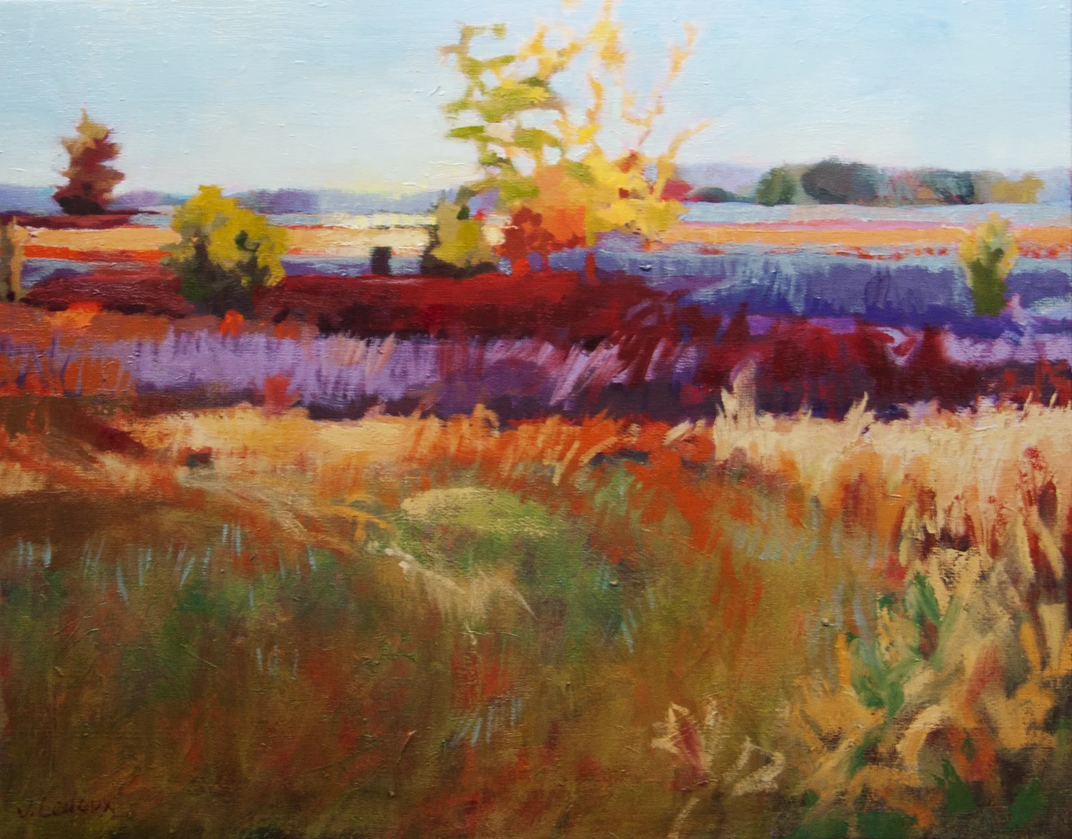 Blueberry Fields, Fall