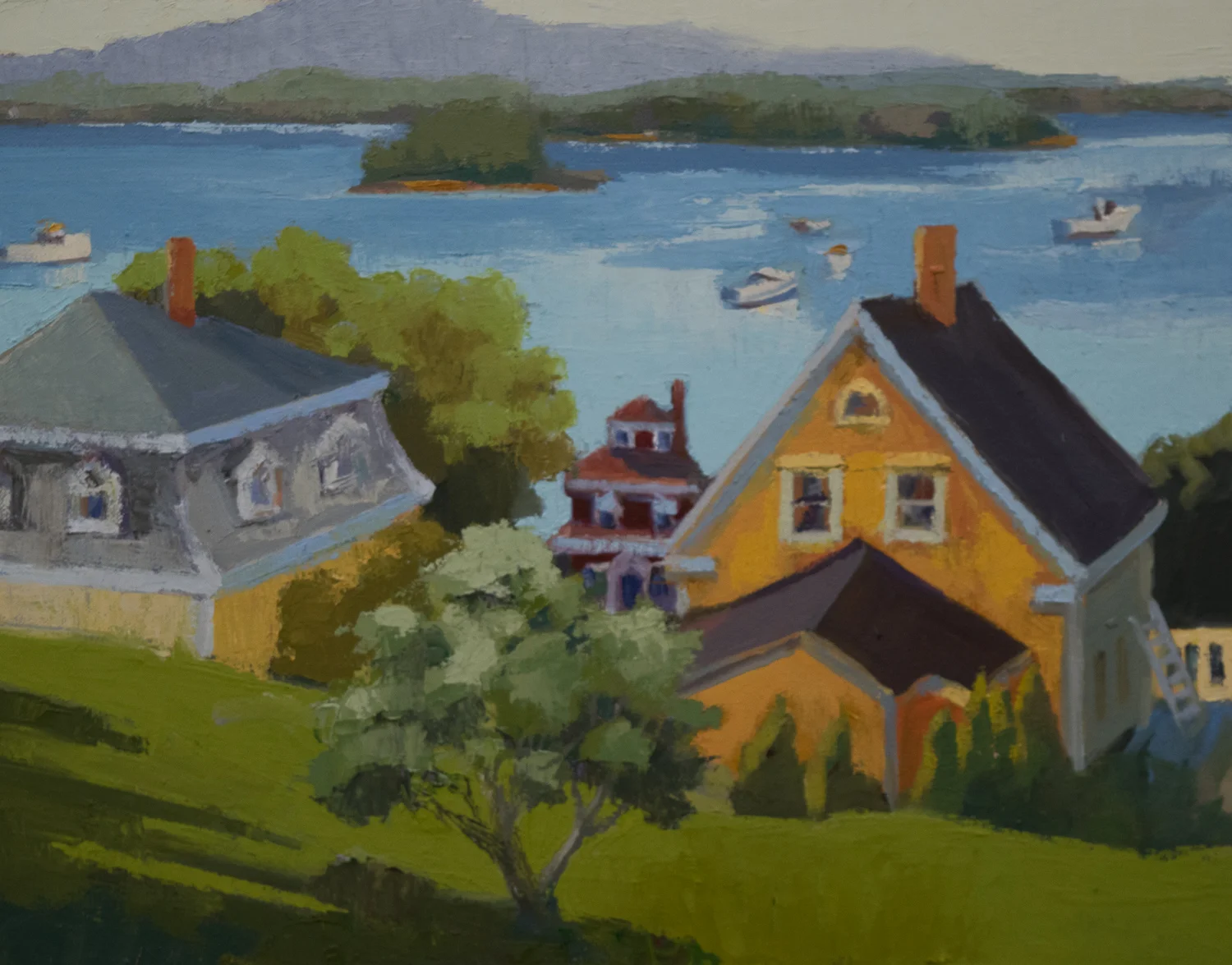 Harbor side Morning