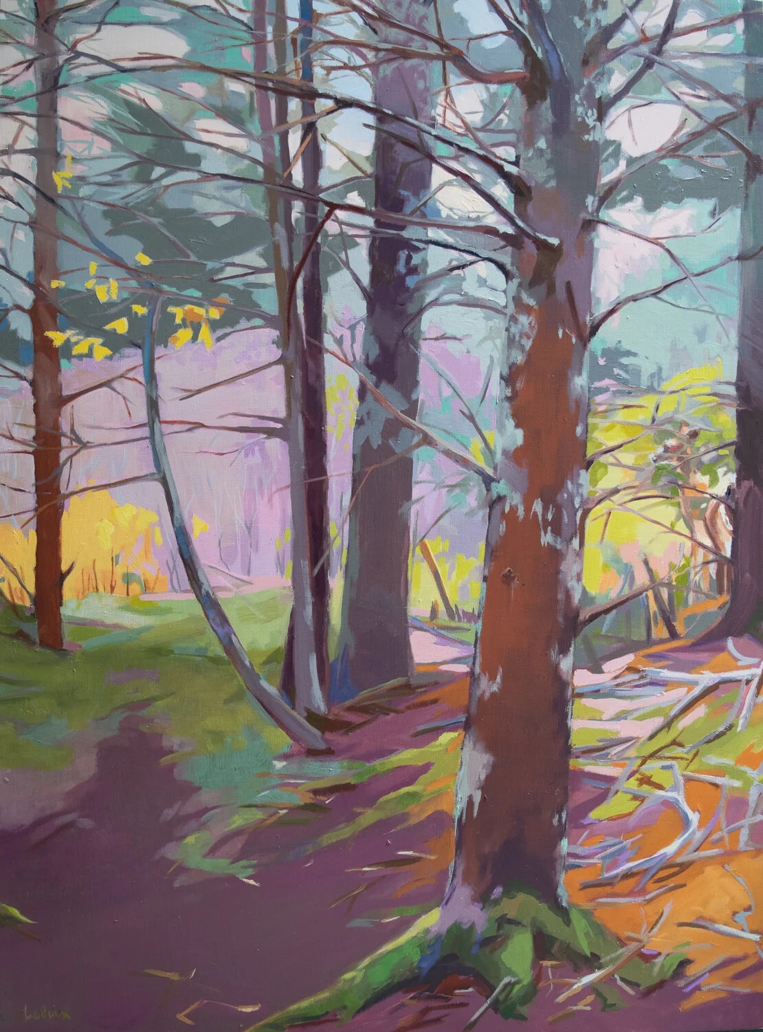 Island Woods