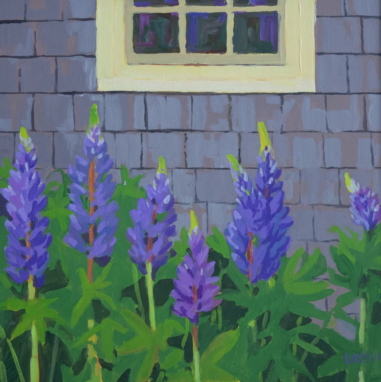 Lupine Walkway 