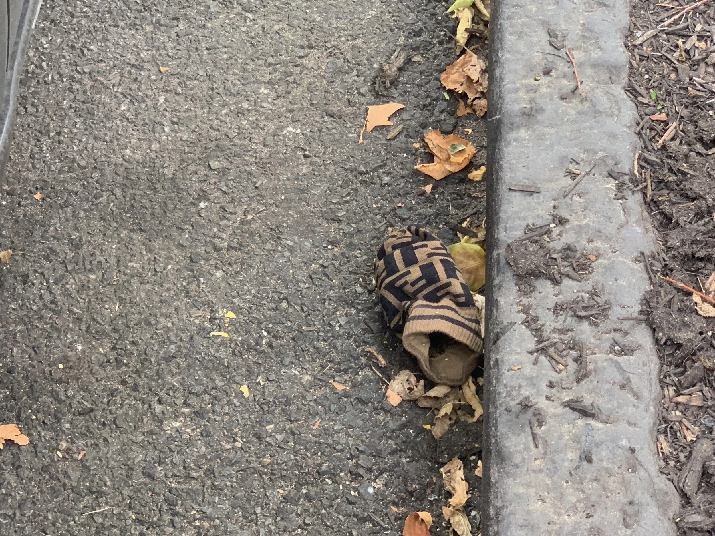 light breaks through (feat. alex laughlin + c'ne rohlsen)