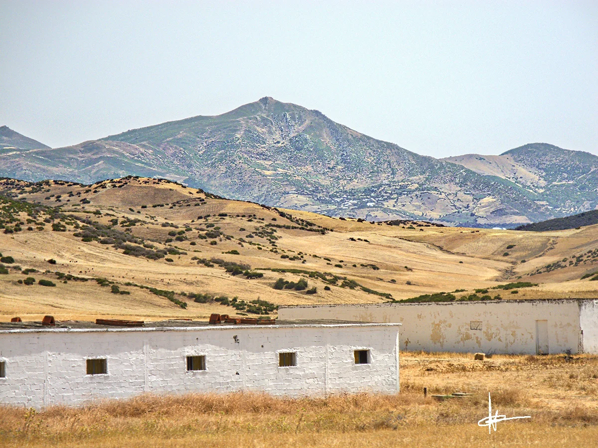 Moroccan Landscape2signed.jpg
