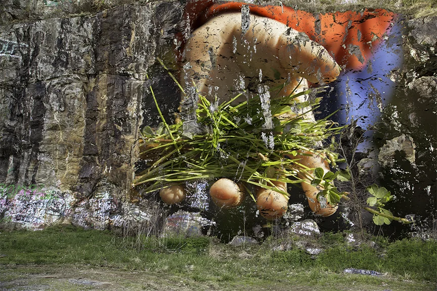 The Offering, 2014