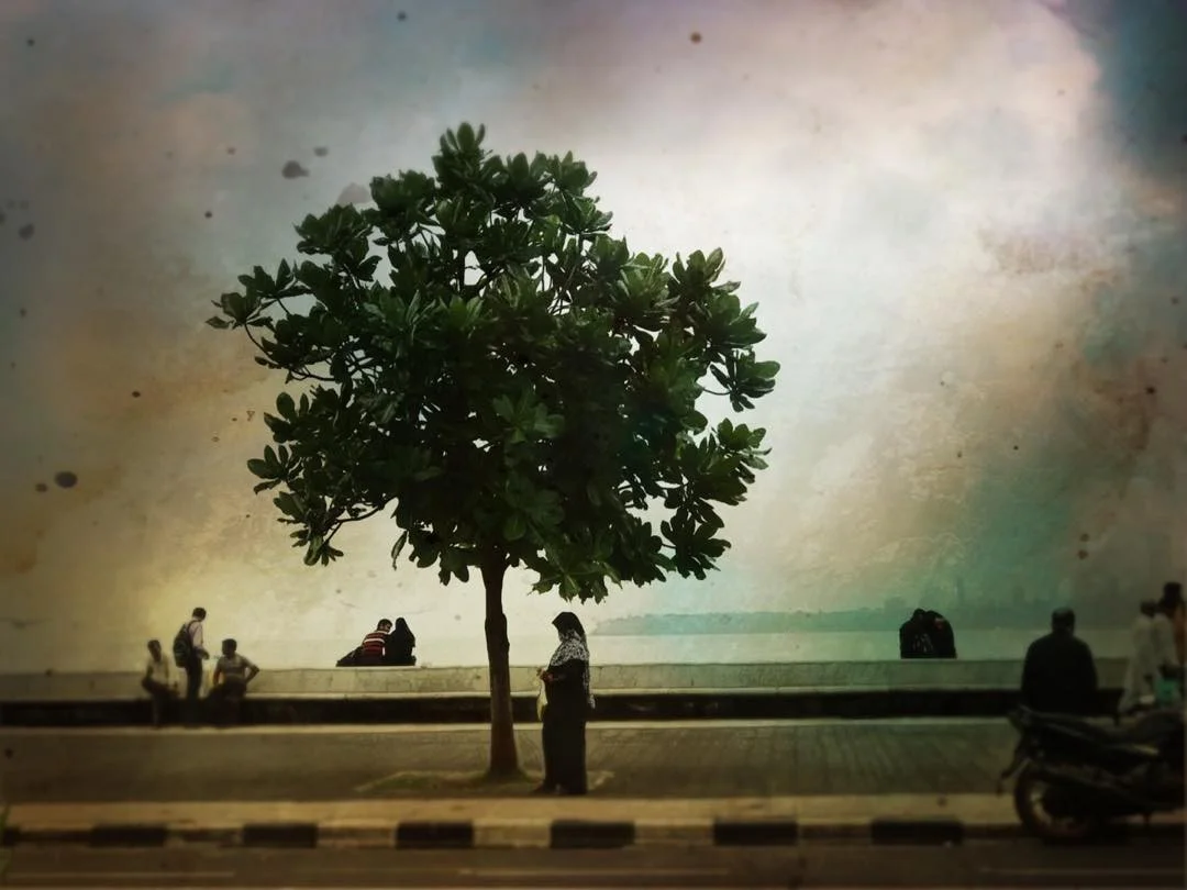 Mumbai Boardwalk, 2017