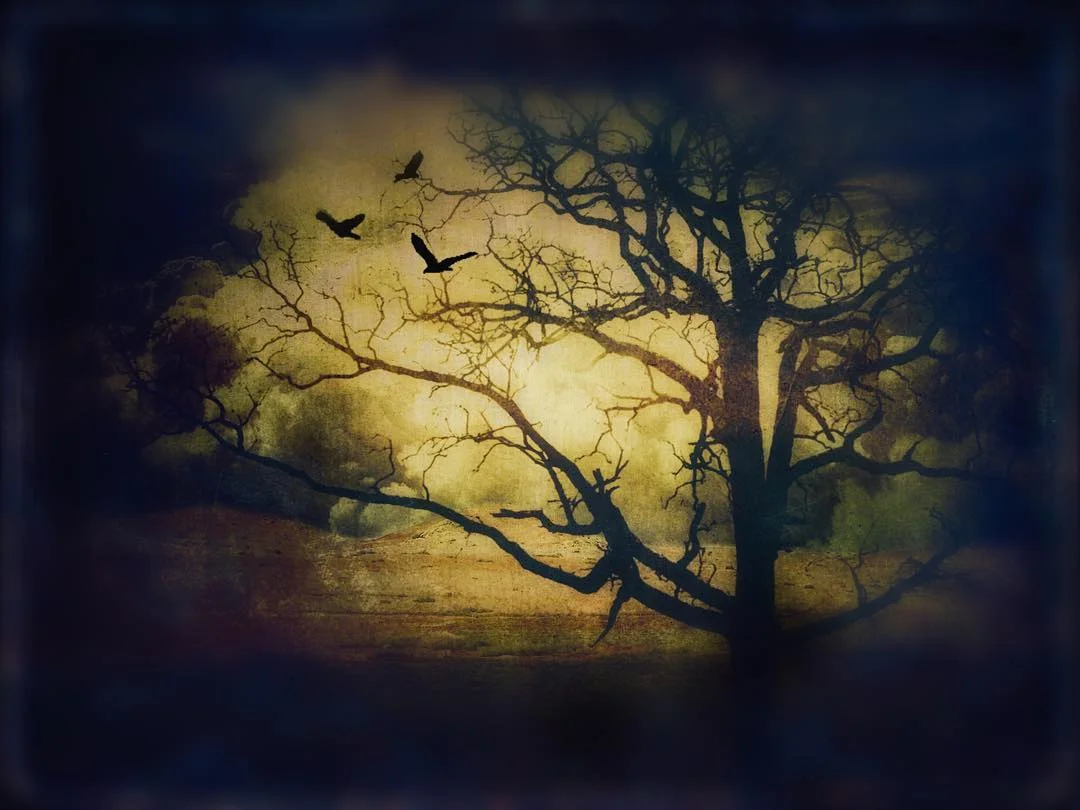 Darkness Descending, 2018