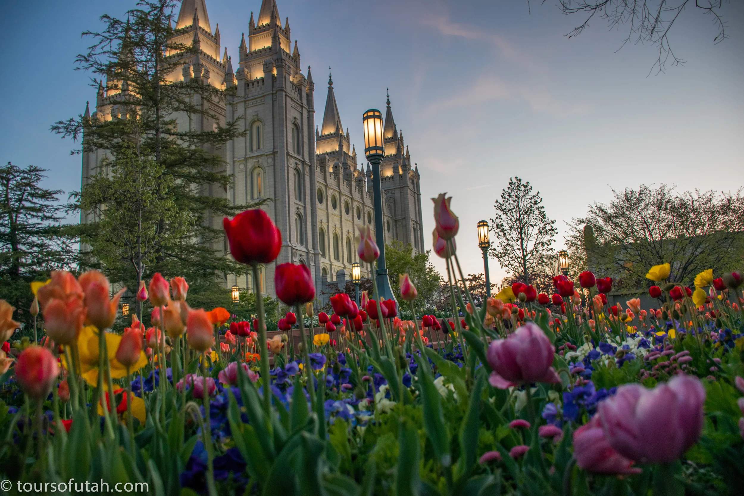 Spring Flowers On Temple Square Sightseeing Tour City Sights Utah