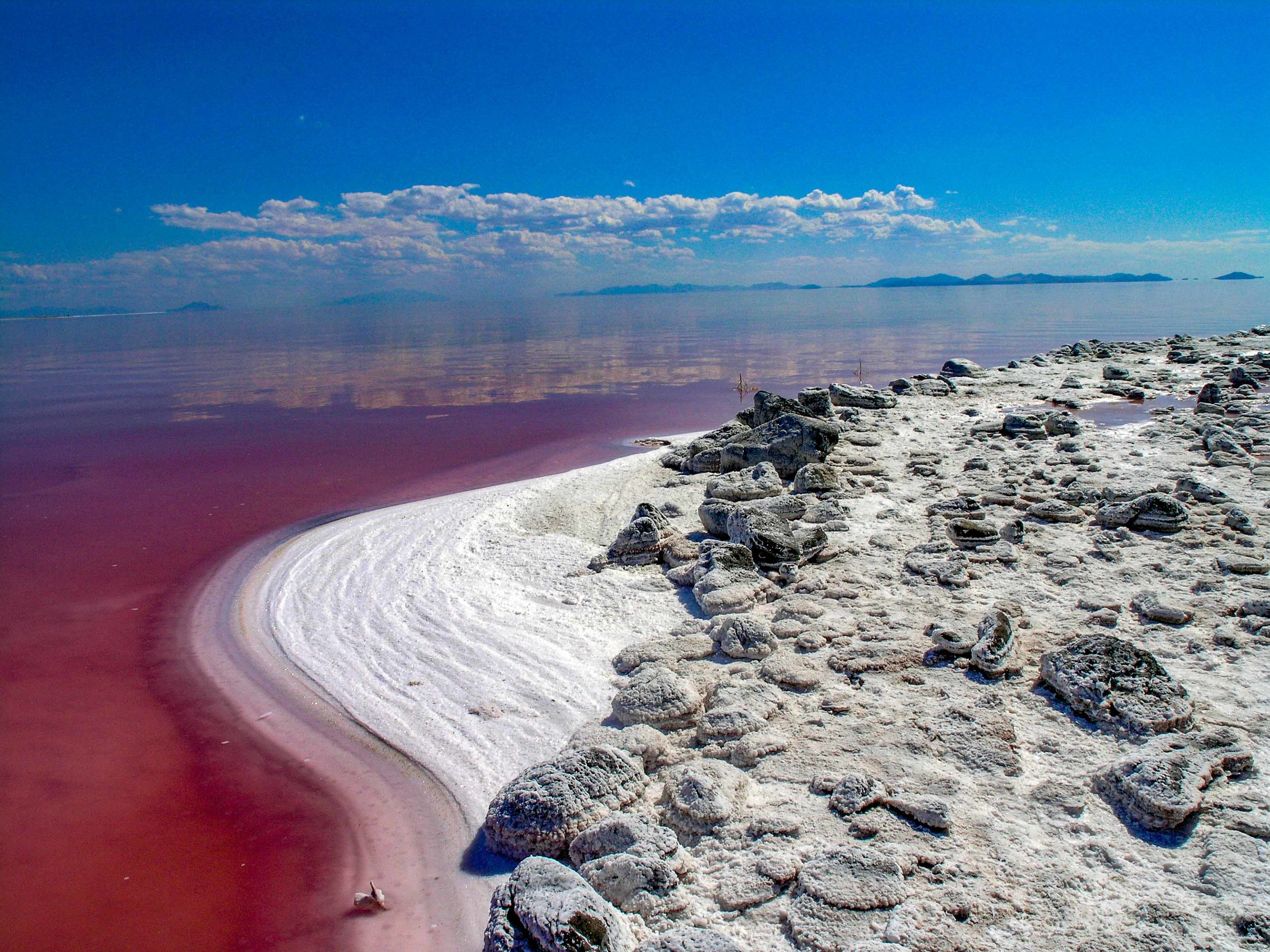 Where To Swim In Salt Lake Floating On The Great Salt Lake Salt Lake 