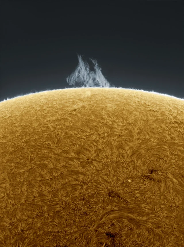 prjkt dump_4_alan friedman_backyard solar photos_1.jpeg