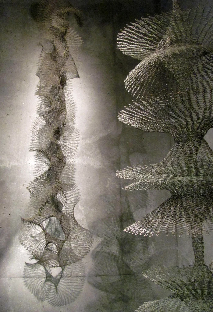 Shared_Ruth Asawa_8.jpeg